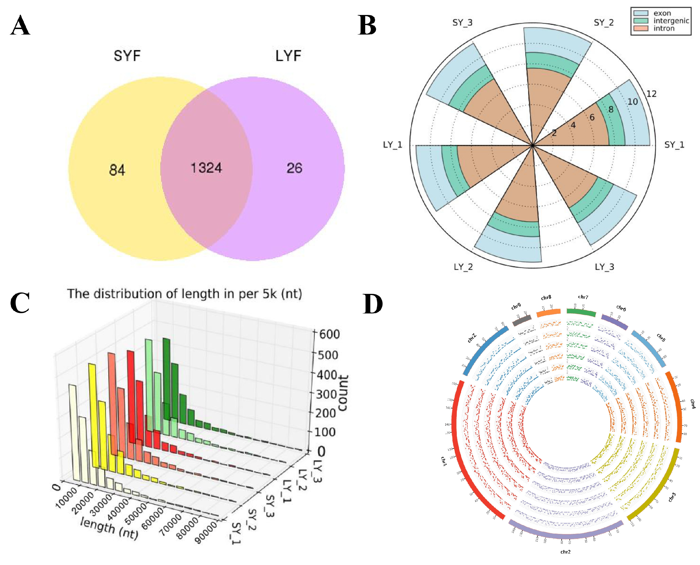 CircGRB14 Inhibits Proliferation and Promotes Apoptosis of