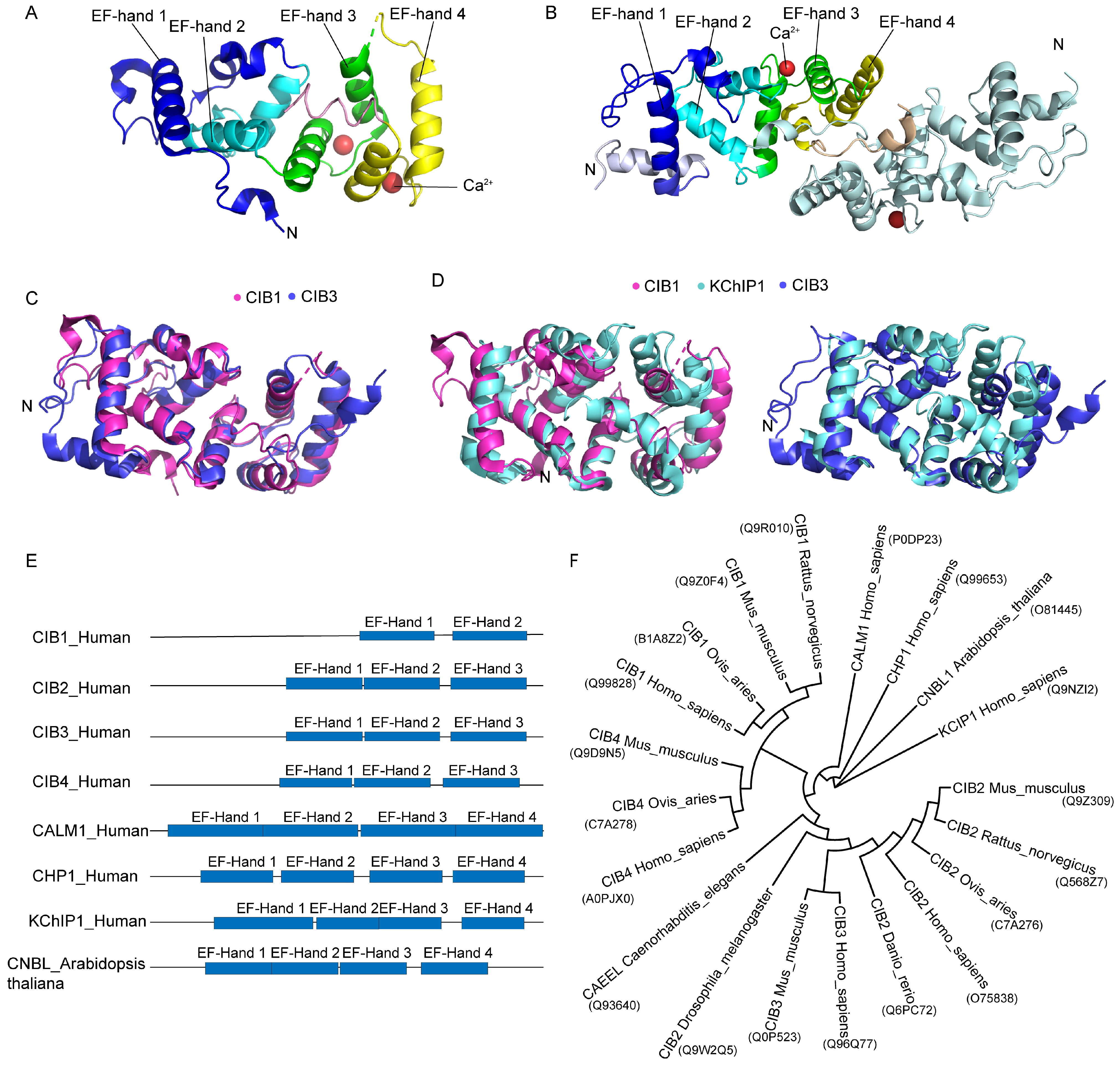 Ijms 26 02223 g001 Ijms 26 02223 g001