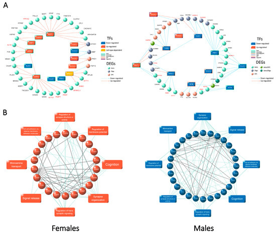 Single-Cell Transcriptional Profiling Reveals Cell Type-Specific