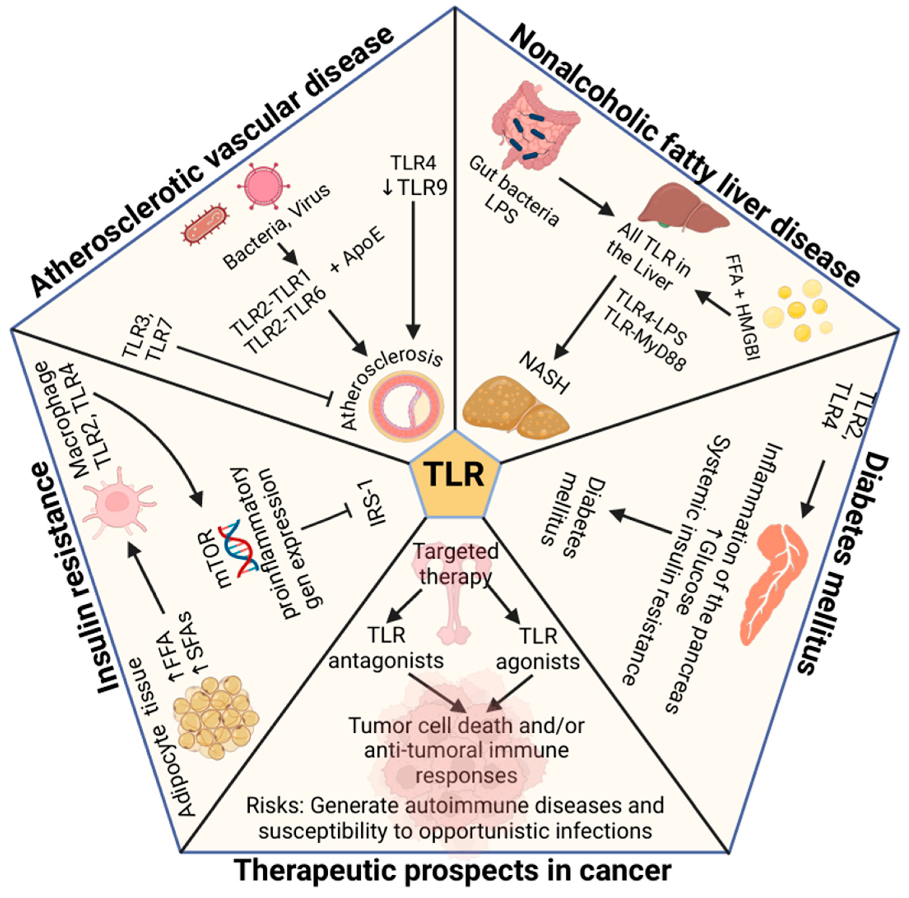 Ijms 26 02229 g002 Ijms 26 02229 g002