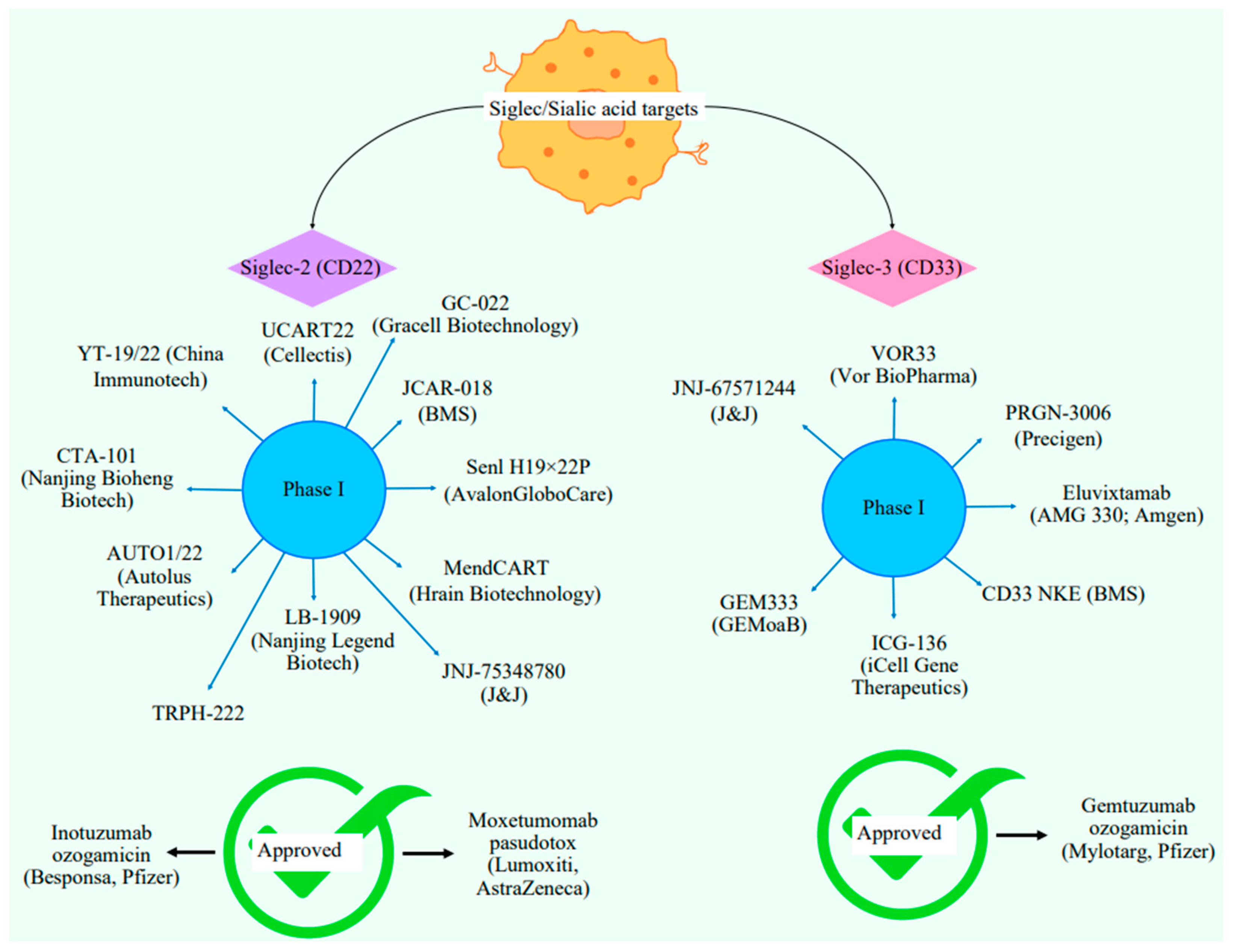 Ijms 26 02233 g005 Ijms 26 02233 g005