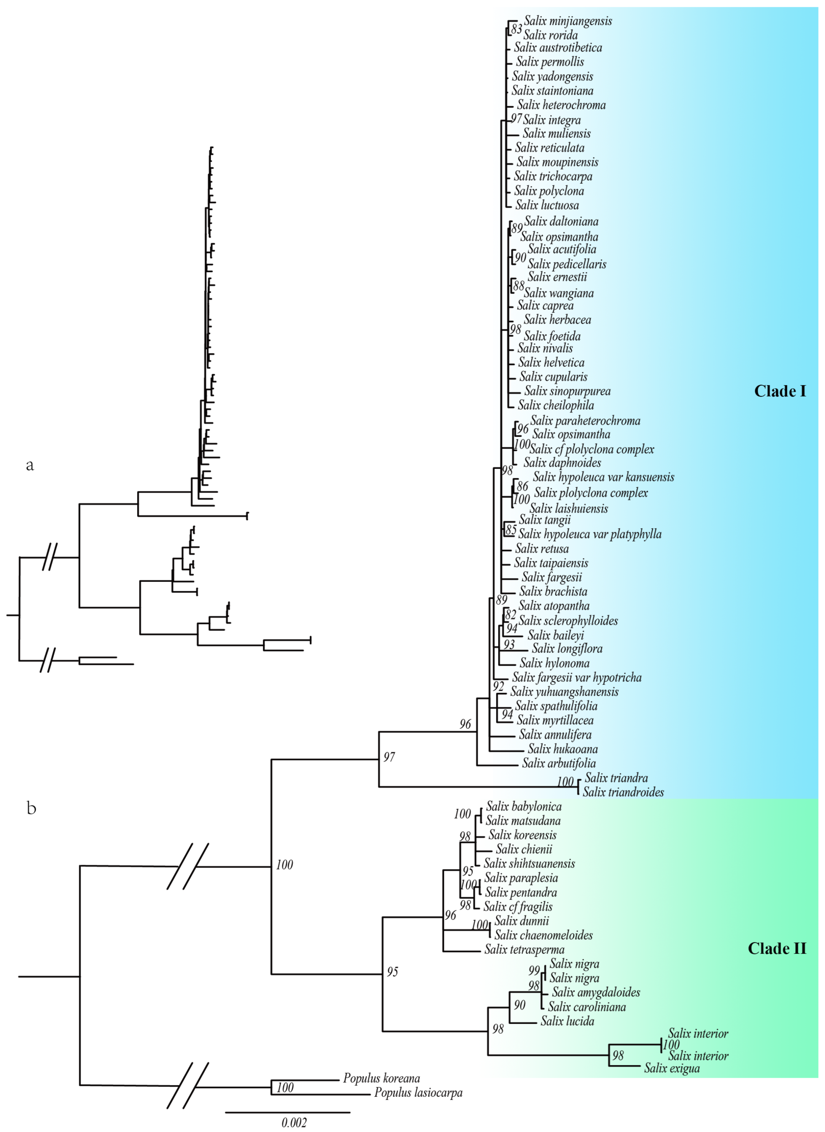 Comparative Chloroplast Genomics Reveals Intrageneric