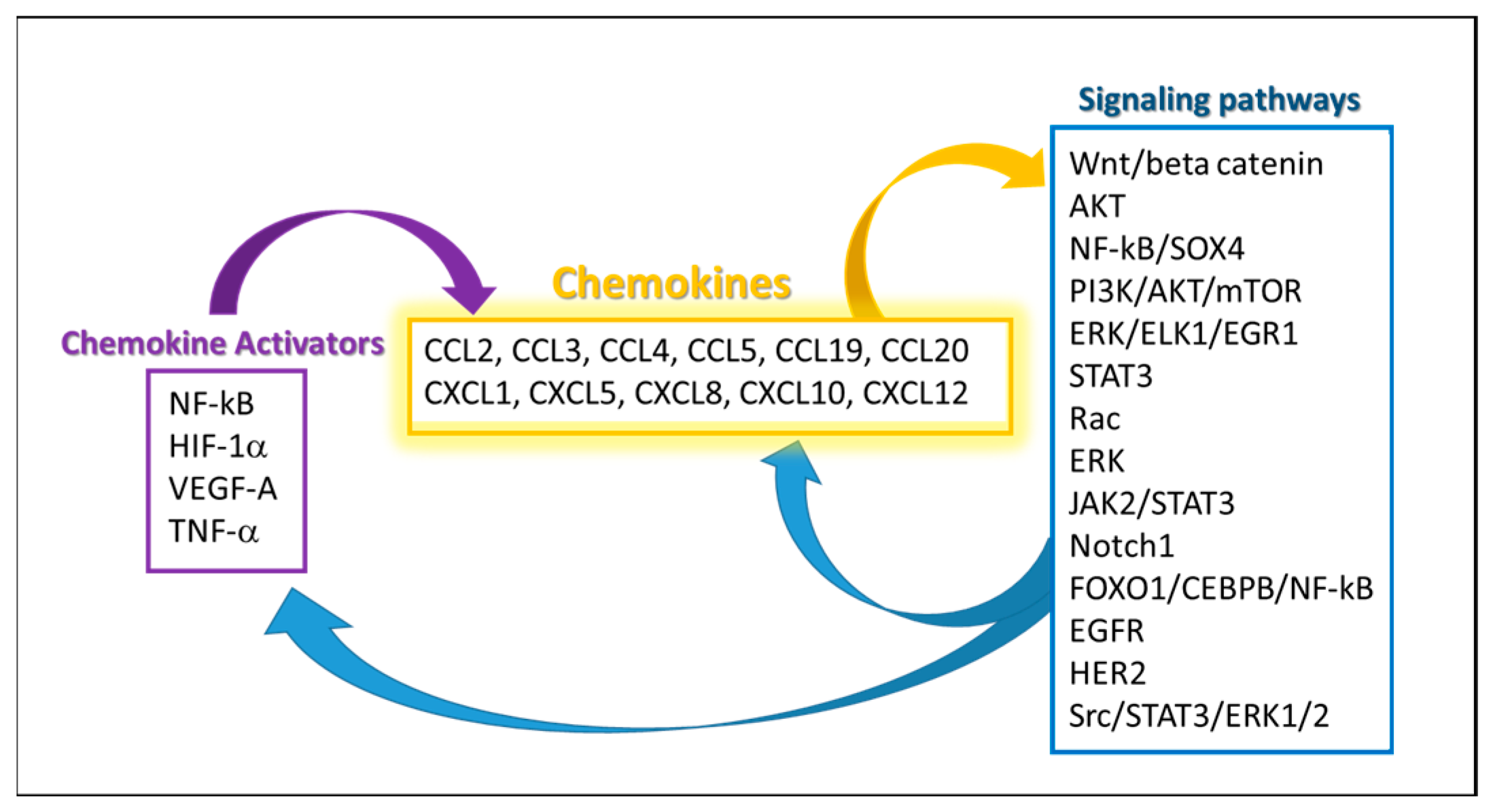cp porn pics onion vk