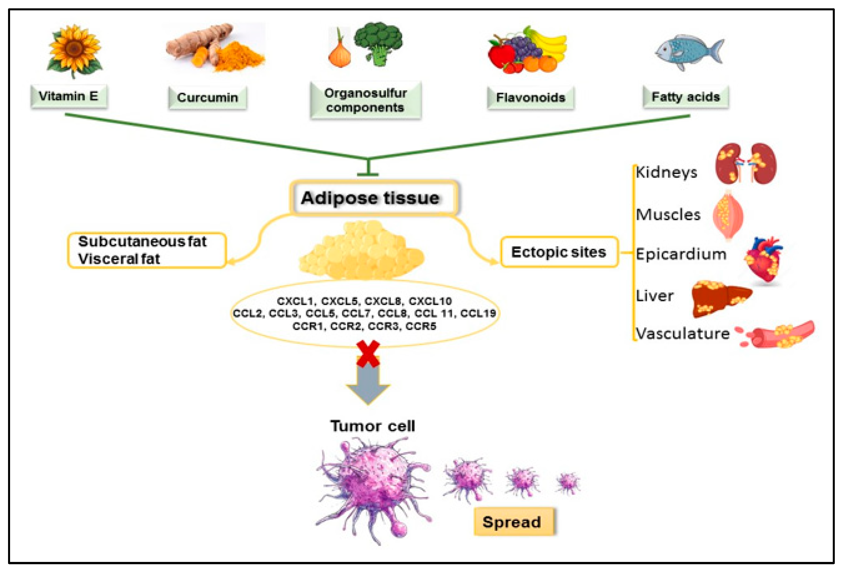 Ijms 26 02275 g002 Ijms 26 02275 g002