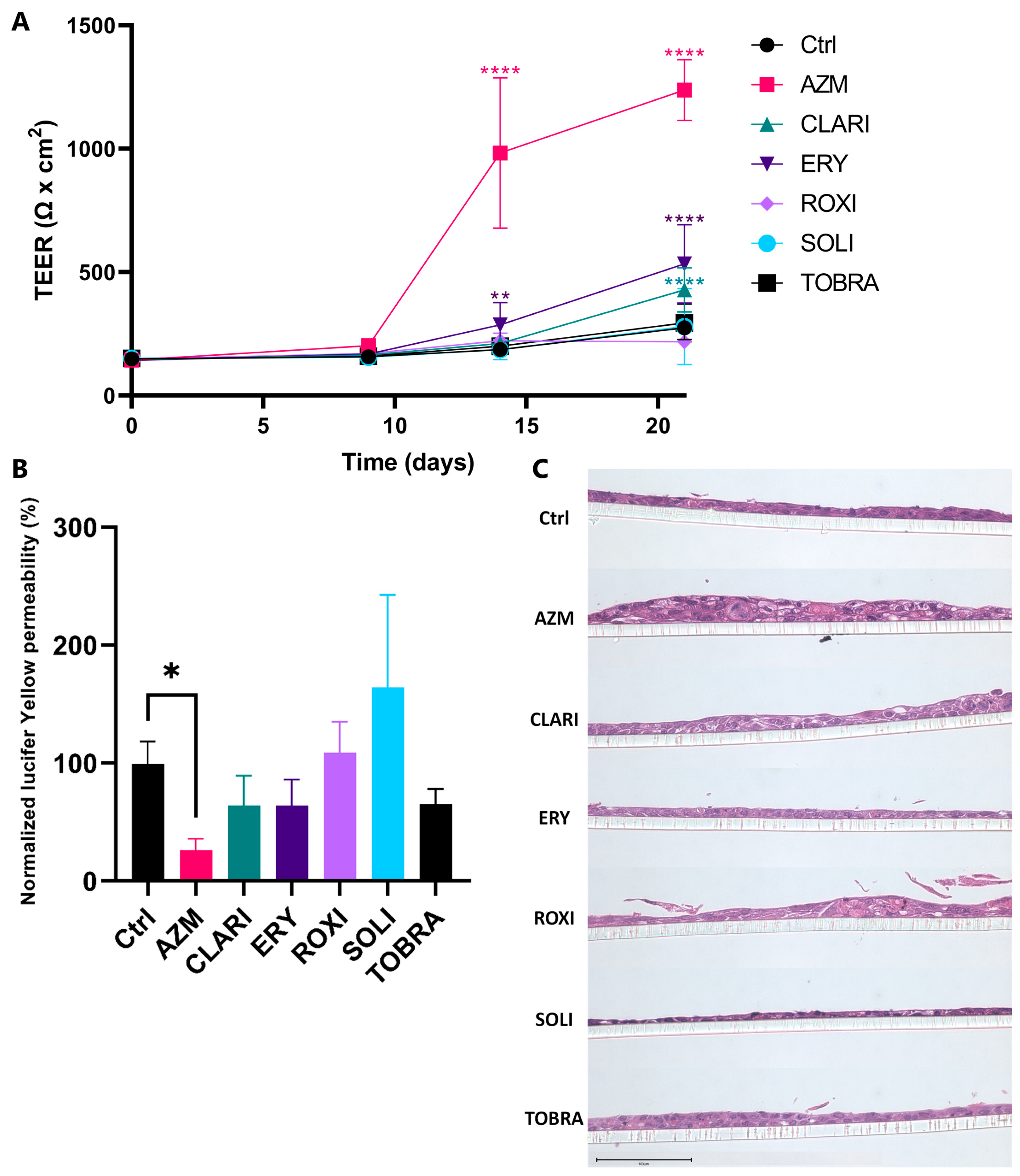 Ijms 26 02287 g001 Ijms 26 02287 g001