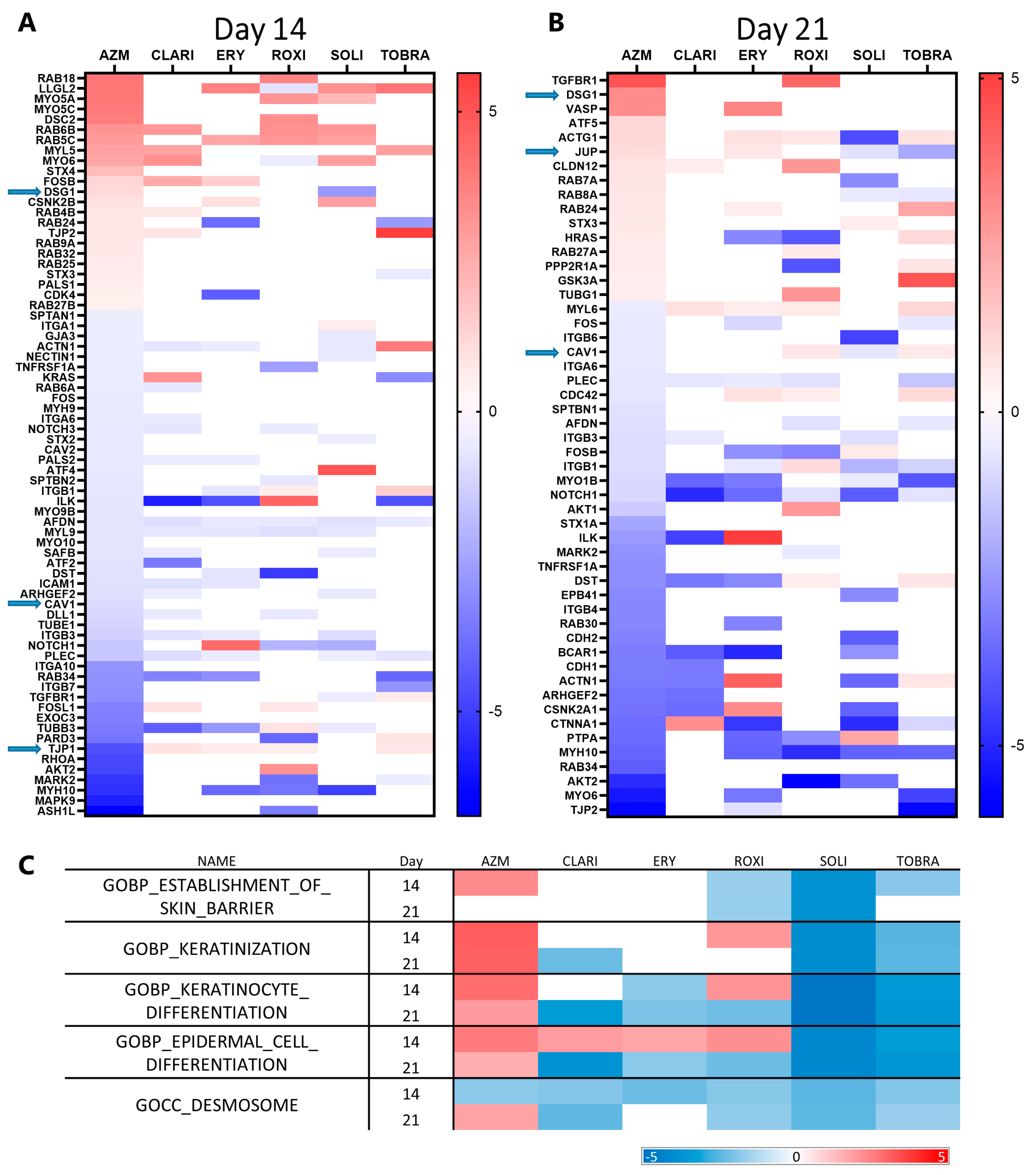 Ijms 26 02287 g002 Ijms 26 02287 g002
