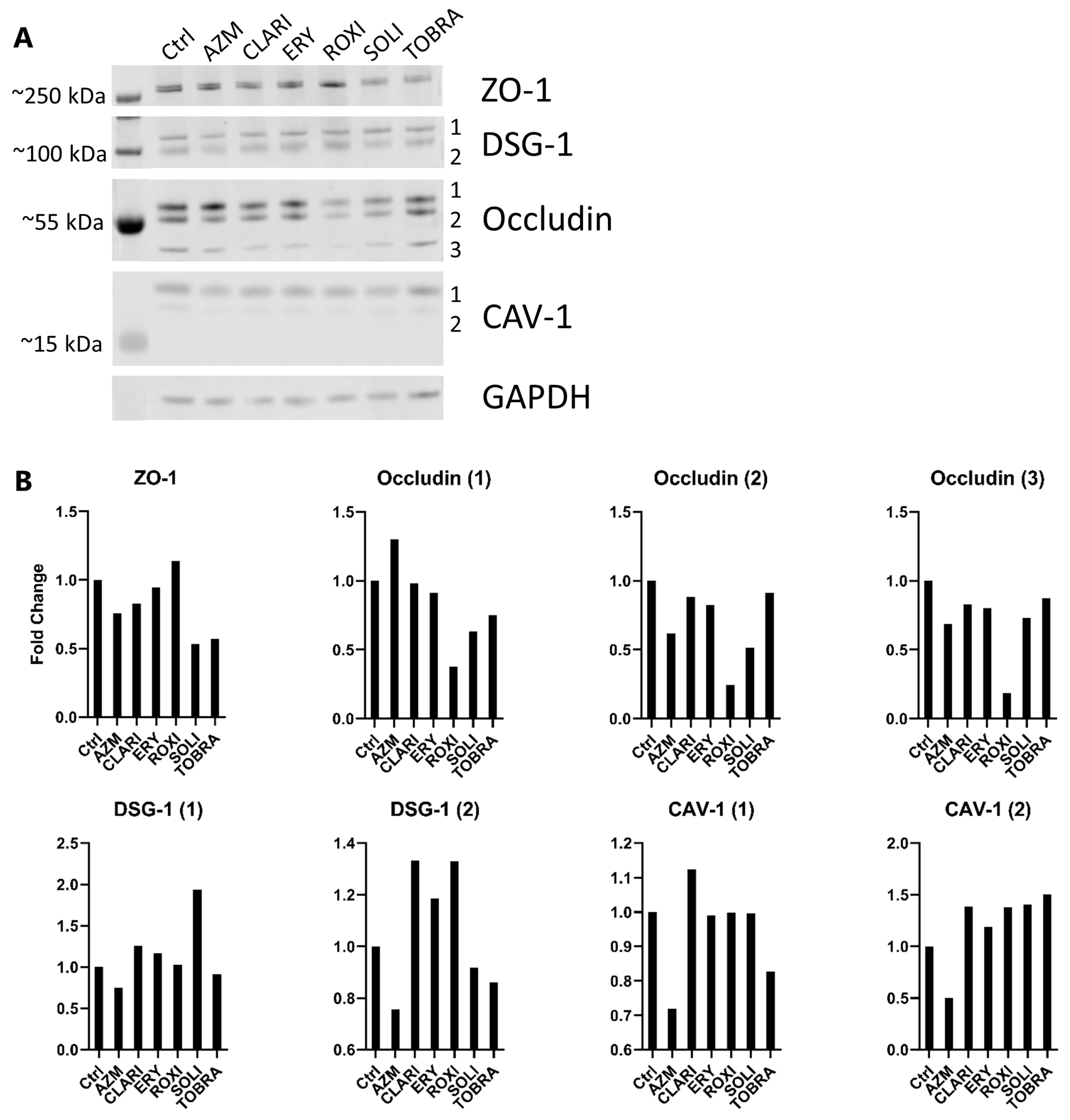 Ijms 26 02287 g003 Ijms 26 02287 g003