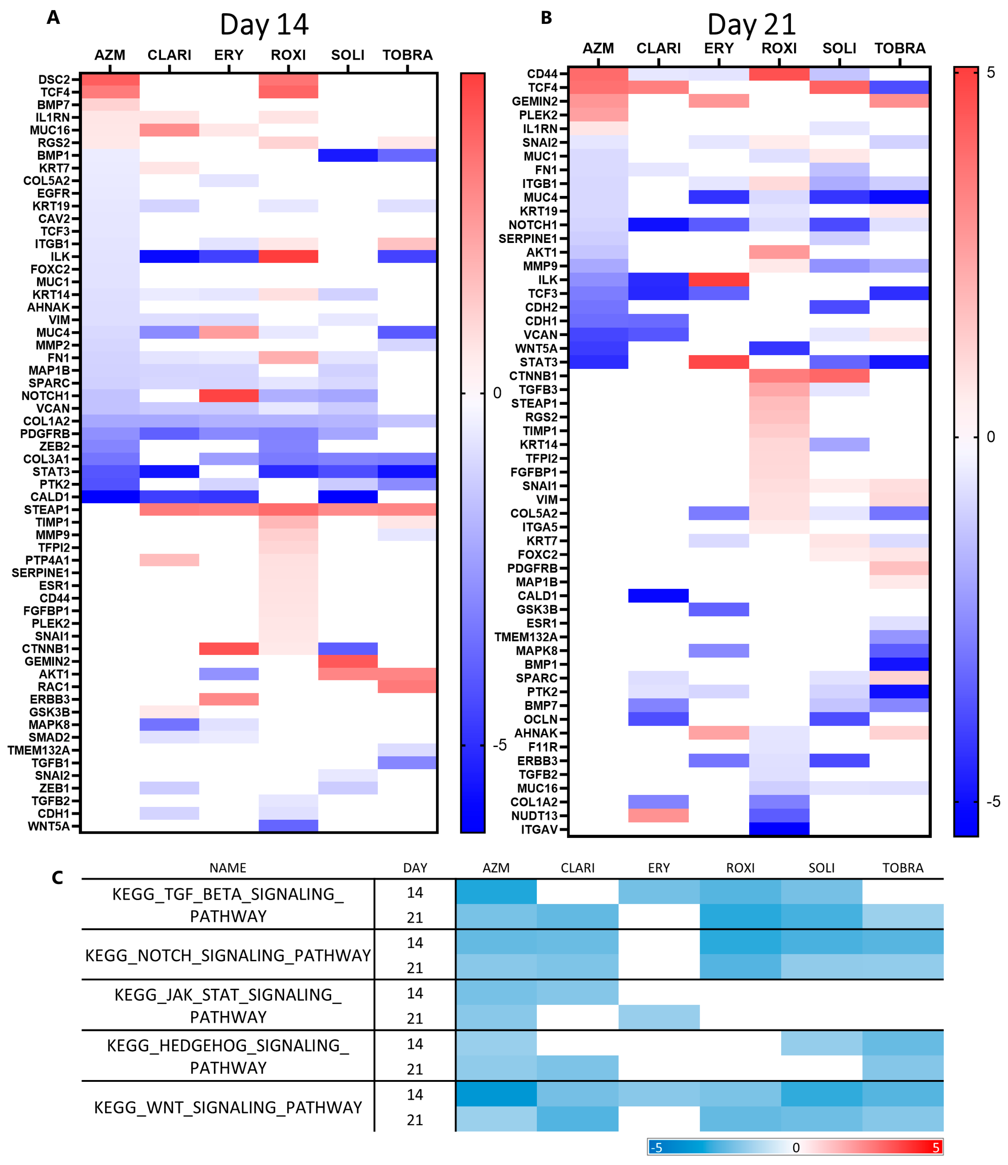 Ijms 26 02287 g006 Ijms 26 02287 g006