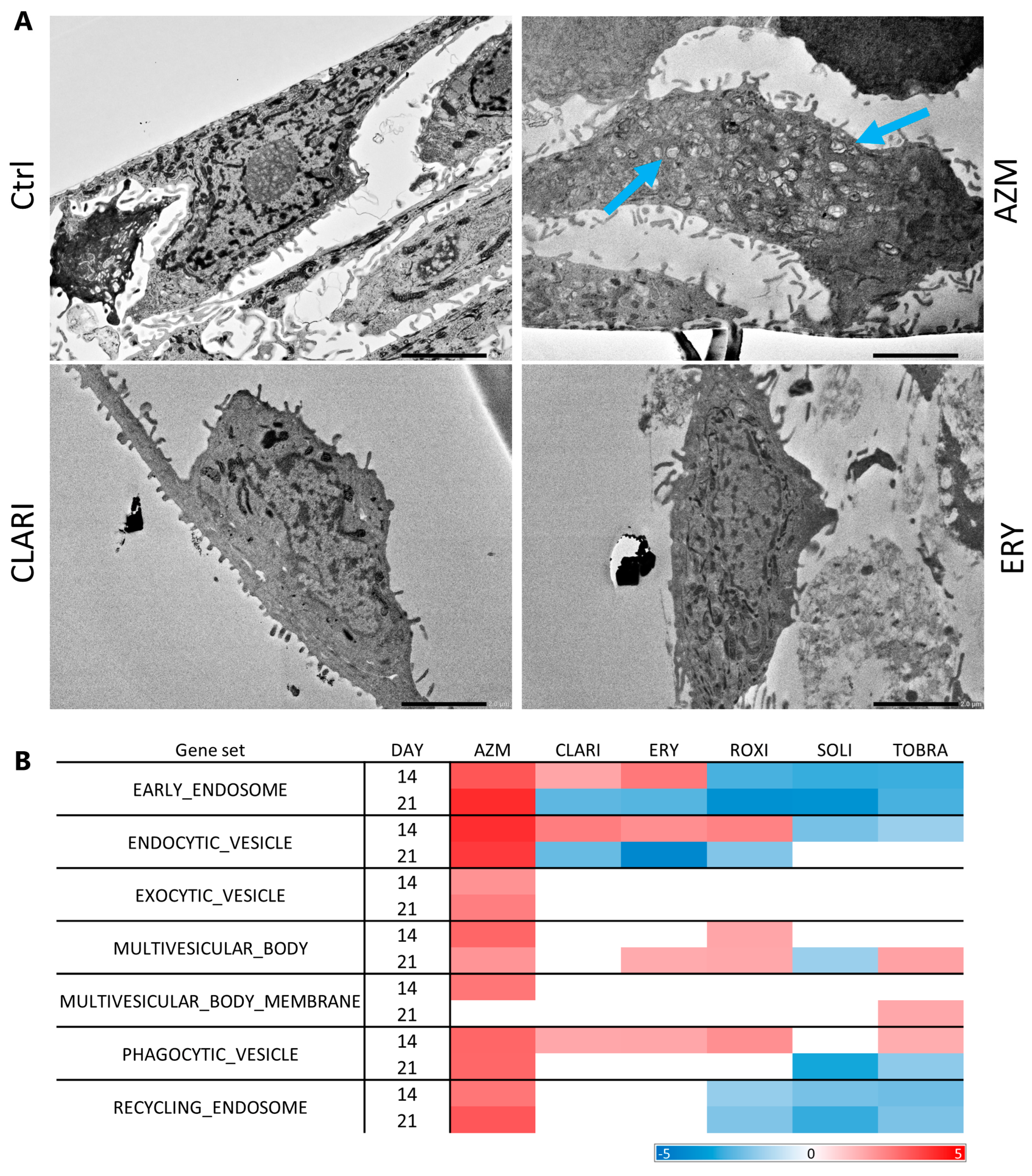 Ijms 26 02287 g008 Ijms 26 02287 g008