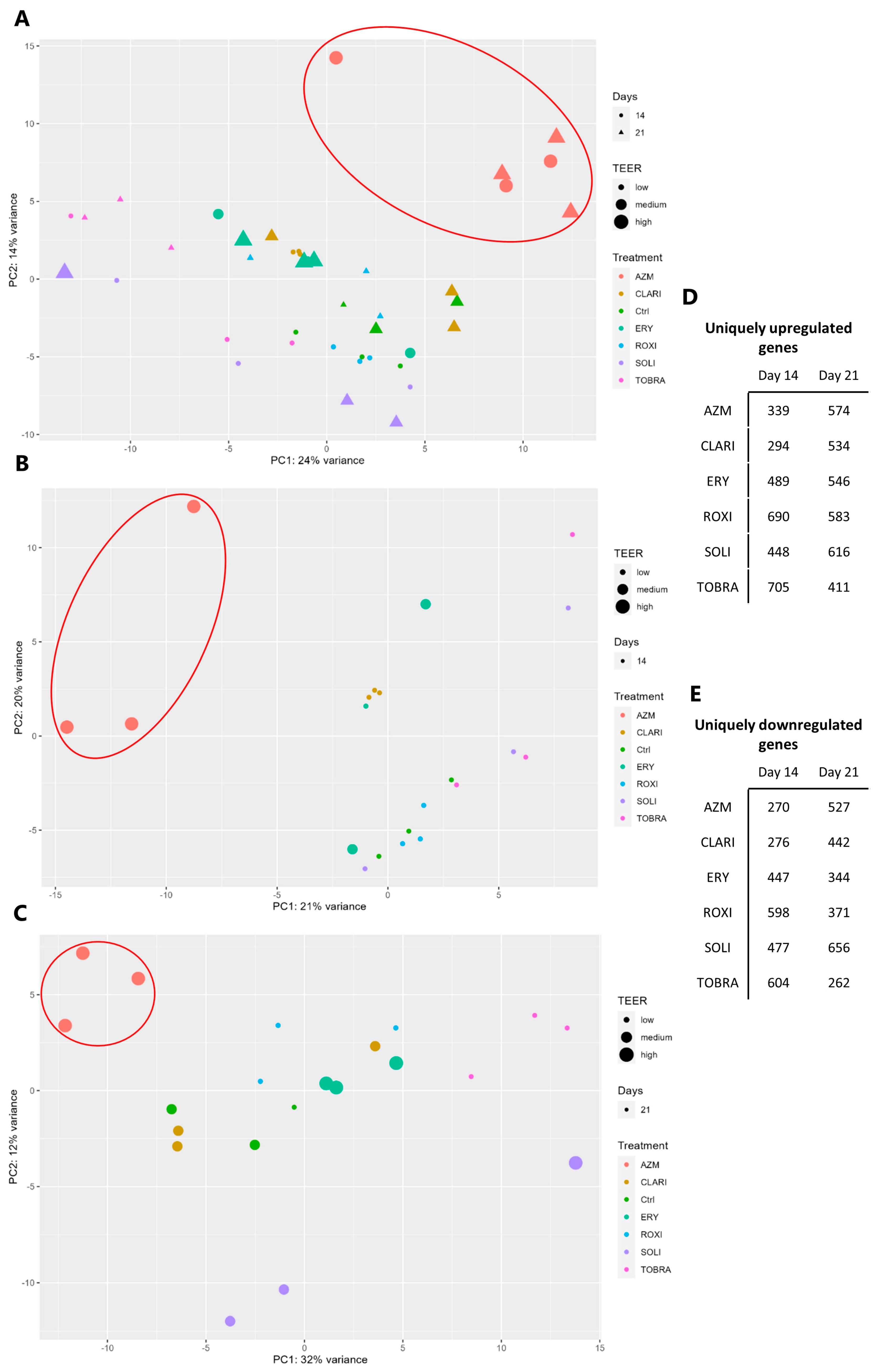 Ijms 26 02287 g009 Ijms 26 02287 g009