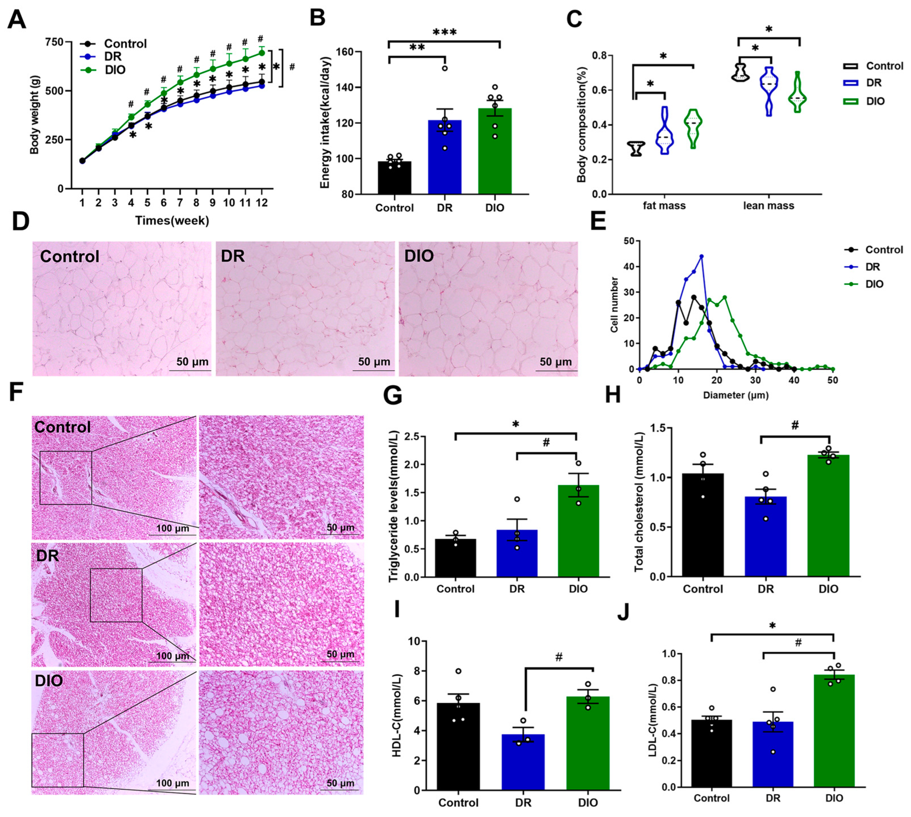 Ijms 26 02296 g001 Ijms 26 02296 g001