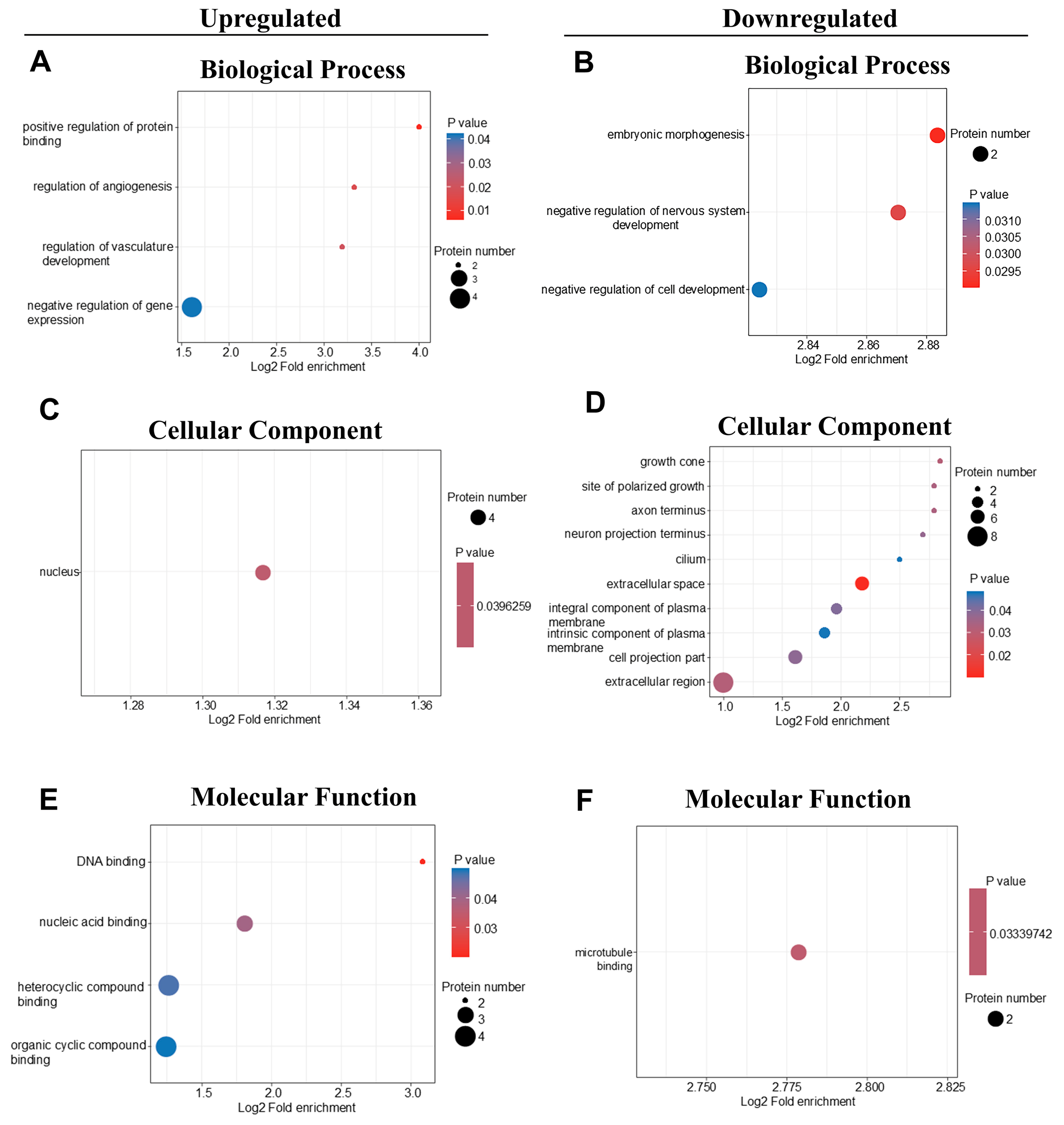 Ijms 26 02296 g003 Ijms 26 02296 g003