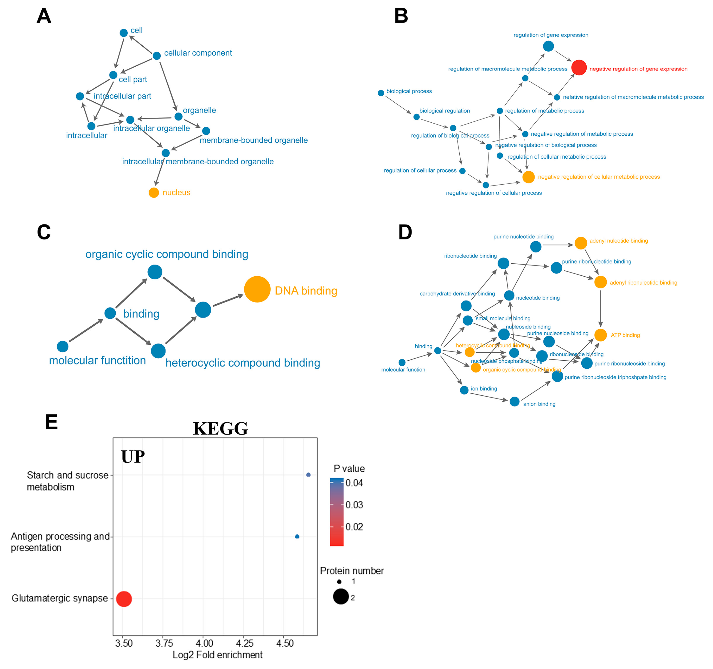 Ijms 26 02296 g004 Ijms 26 02296 g004