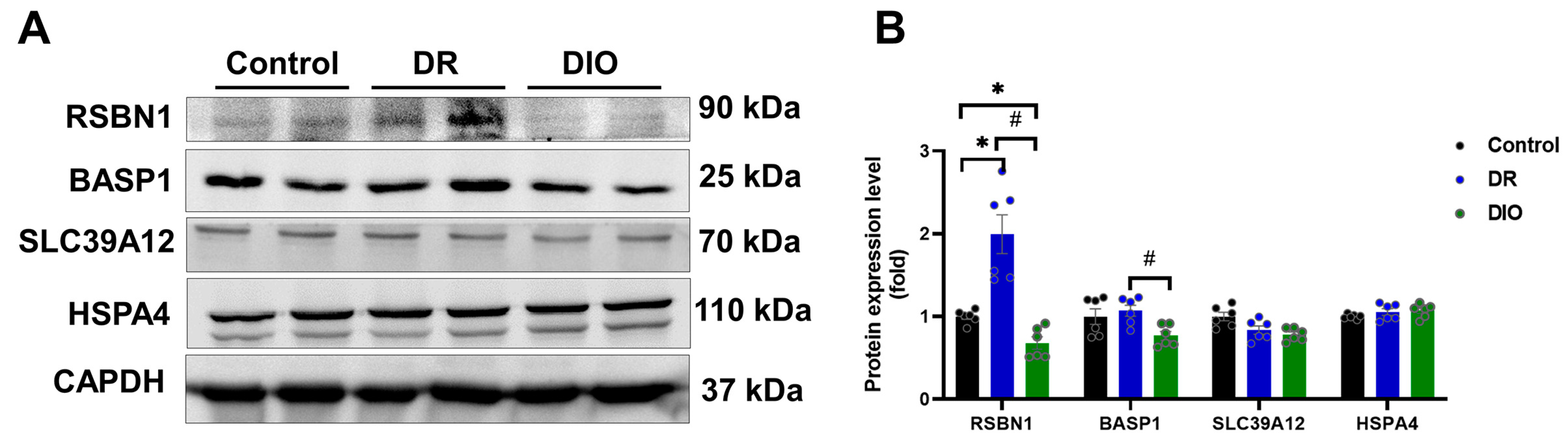Ijms 26 02296 g005 Ijms 26 02296 g005