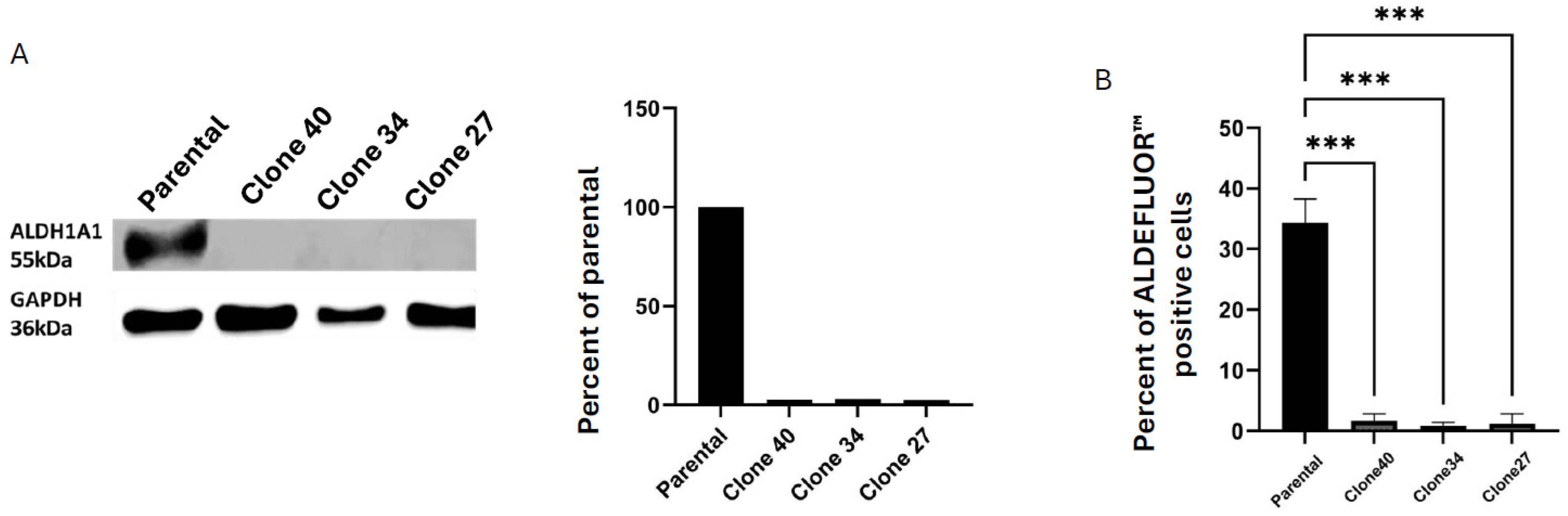 Ijms 26 02303 g002 Ijms 26 02303 g002