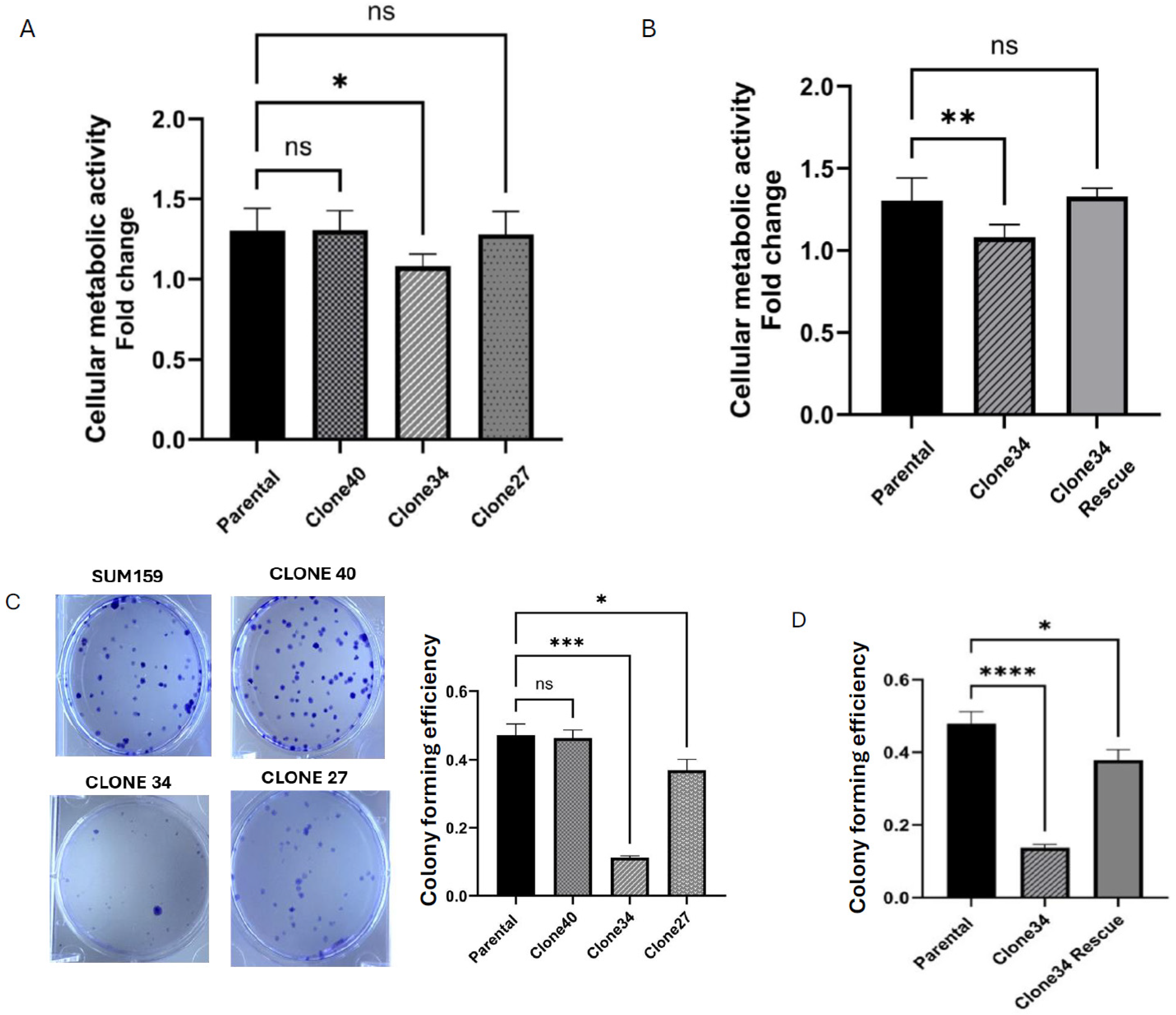 Ijms 26 02303 g003 Ijms 26 02303 g003