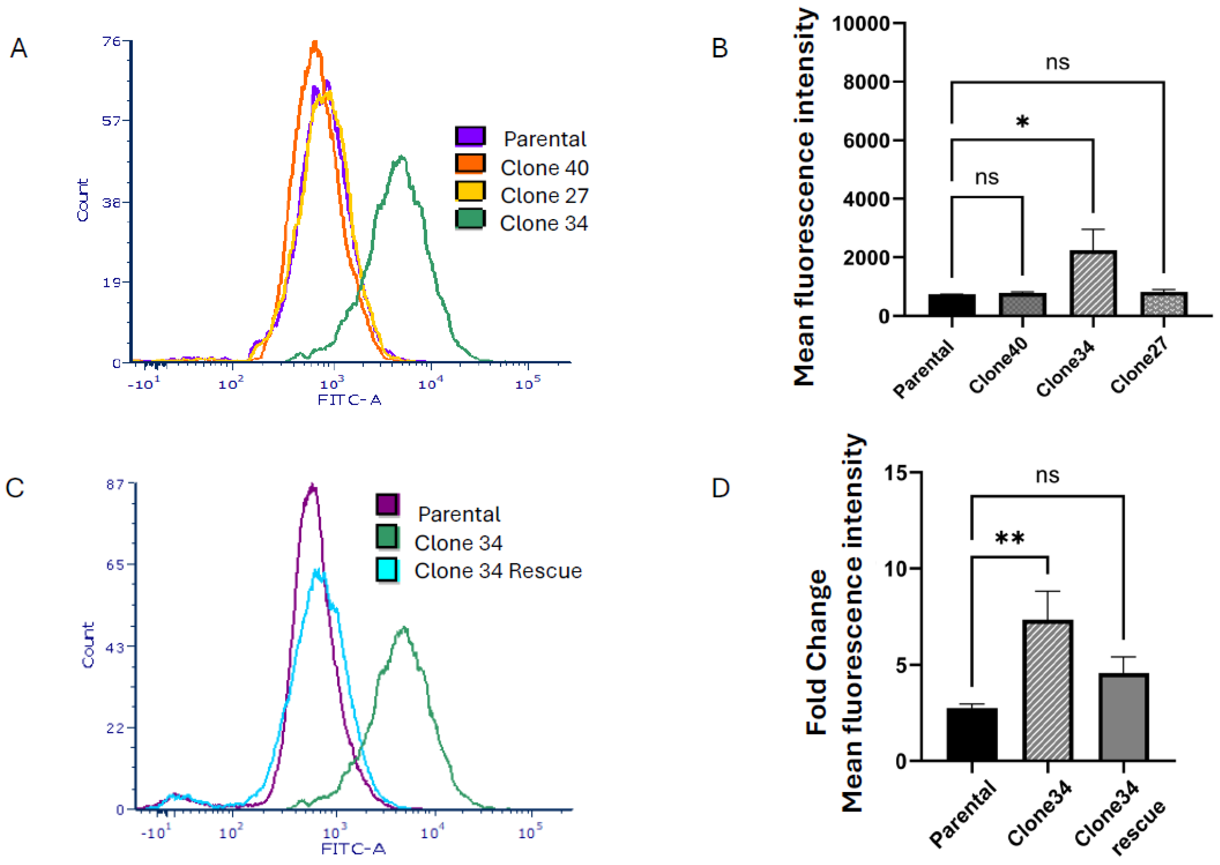 Ijms 26 02303 g005 Ijms 26 02303 g005