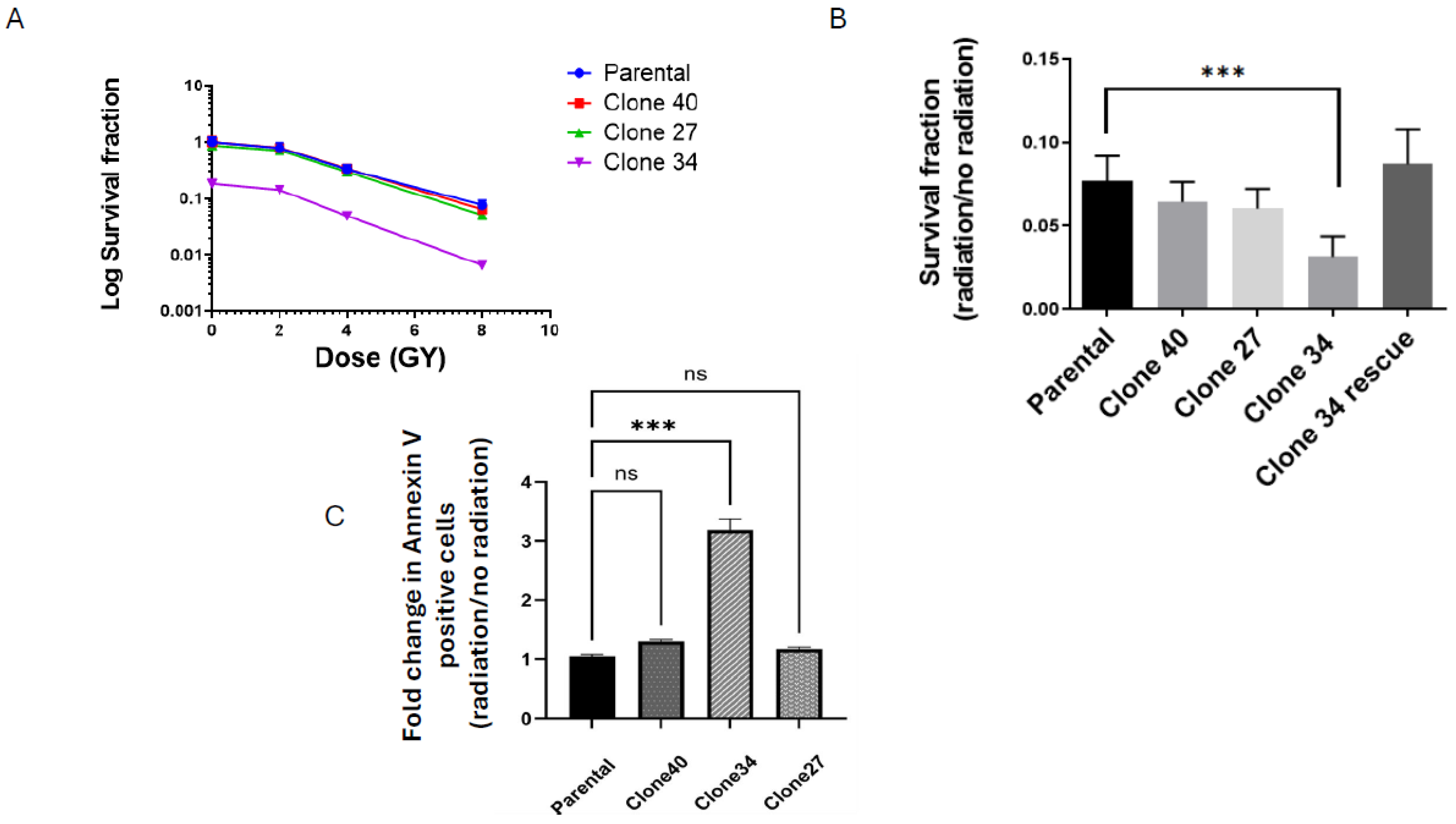Ijms 26 02303 g006 Ijms 26 02303 g006