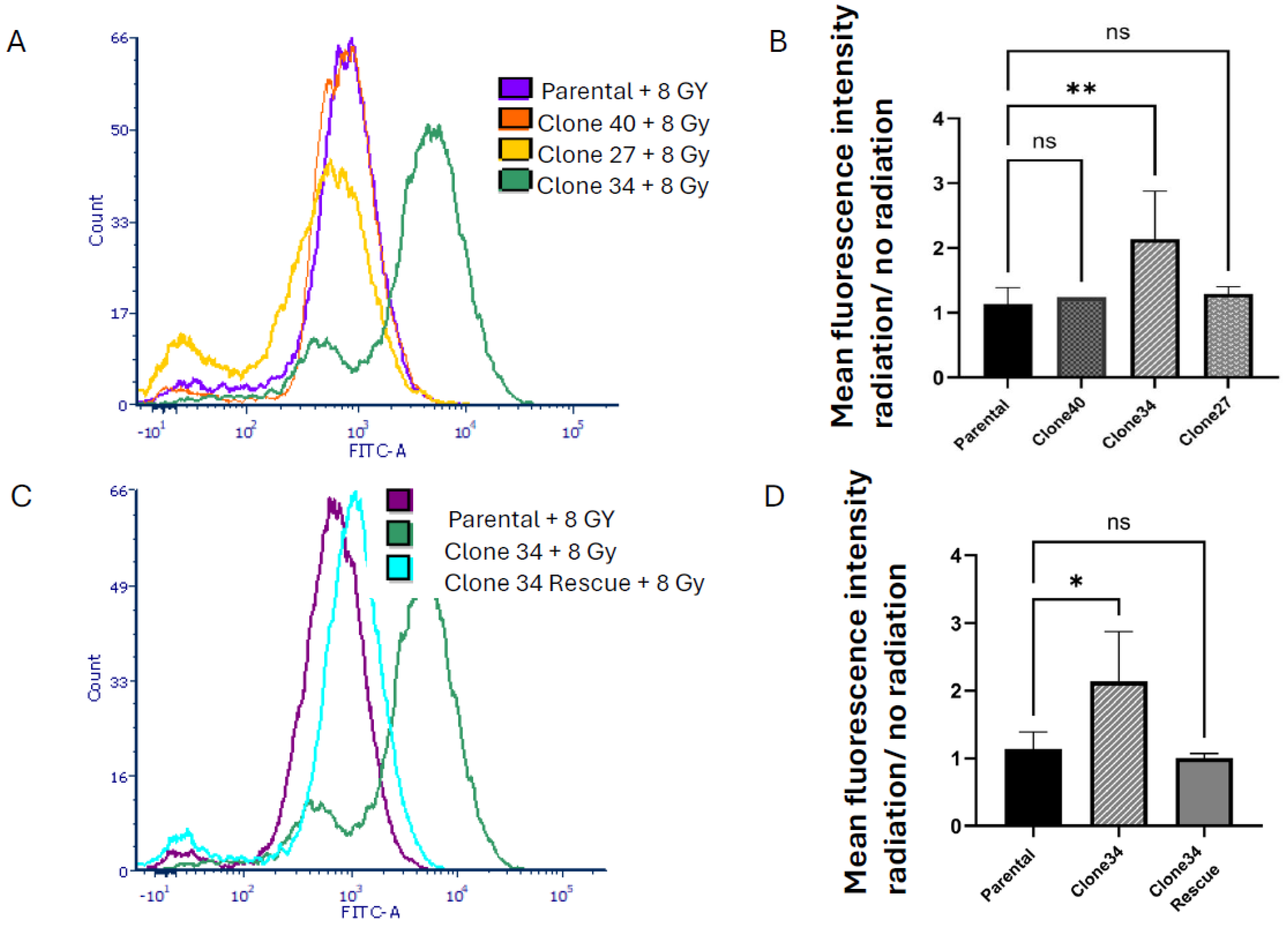 Ijms 26 02303 g007 Ijms 26 02303 g007