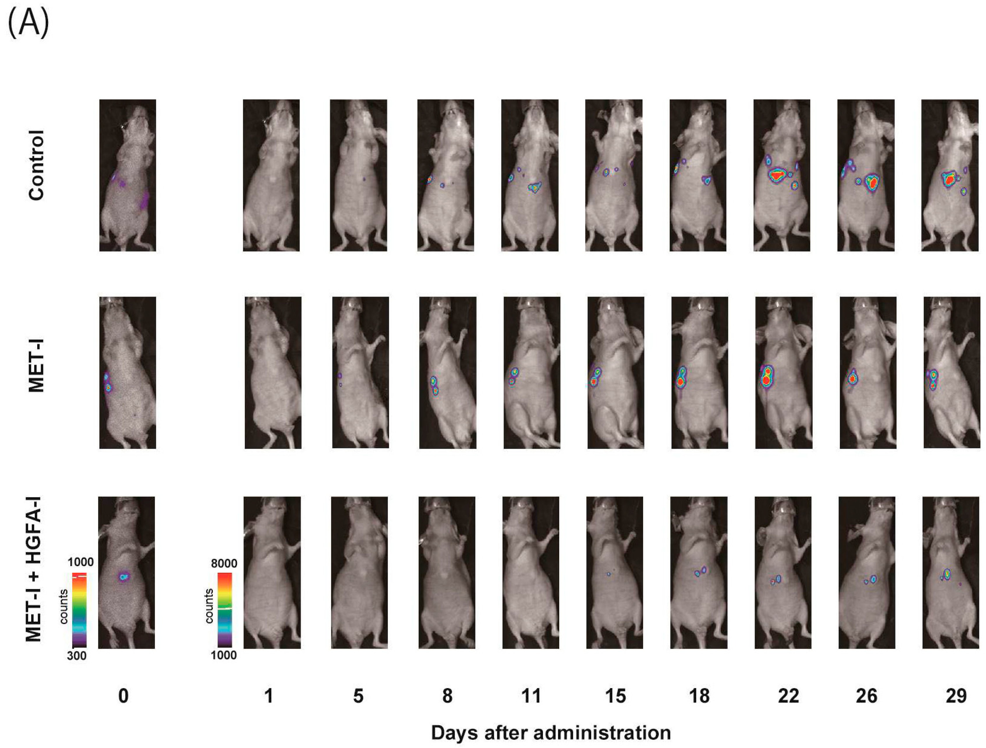 Ijms 26 02308 g004a Ijms 26 02308 g004a