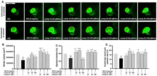 Tiliroside from Lagopsis supina Ameliorates Myocardial