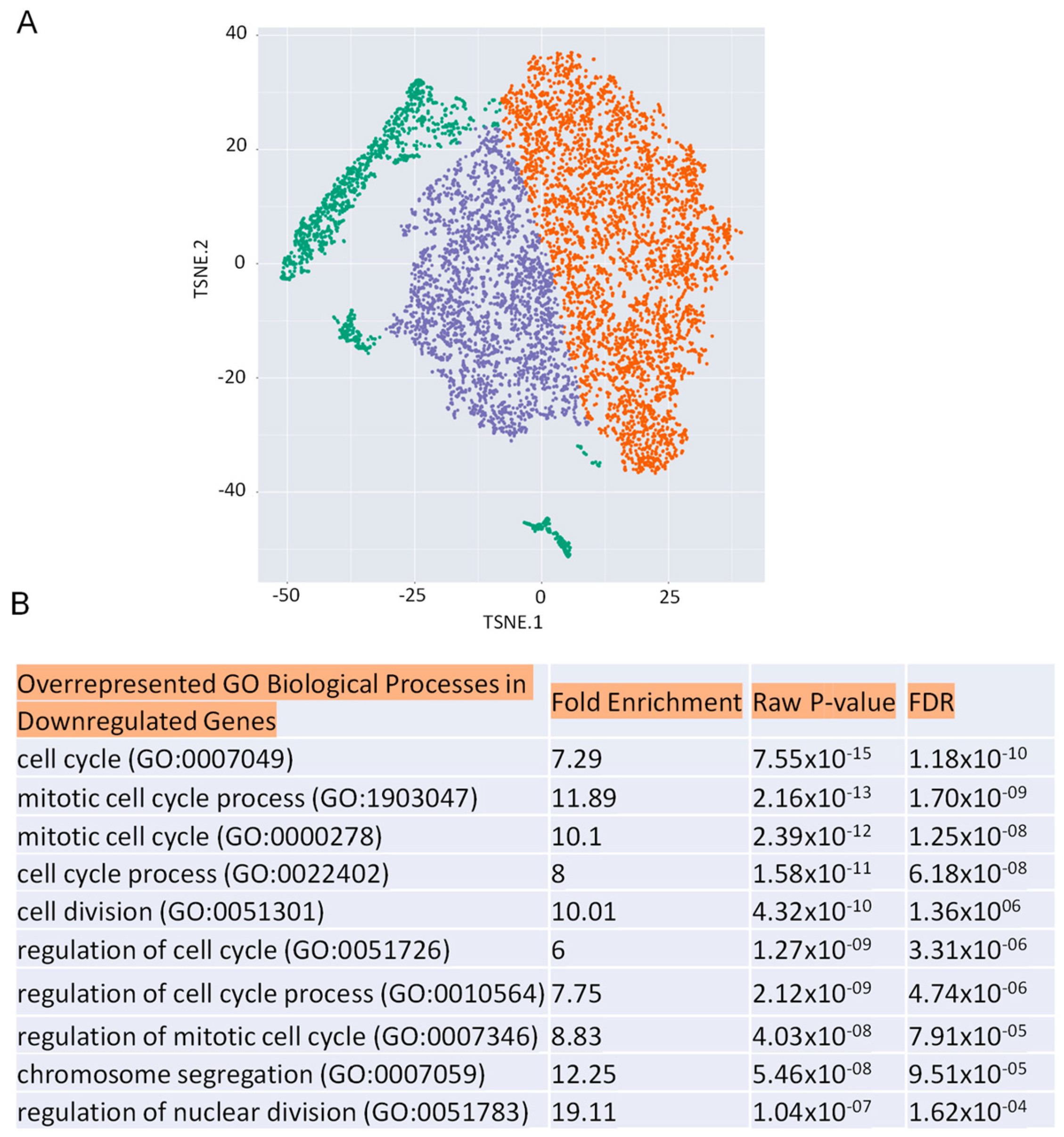 Ijms 26 02332 g001 Ijms 26 02332 g001