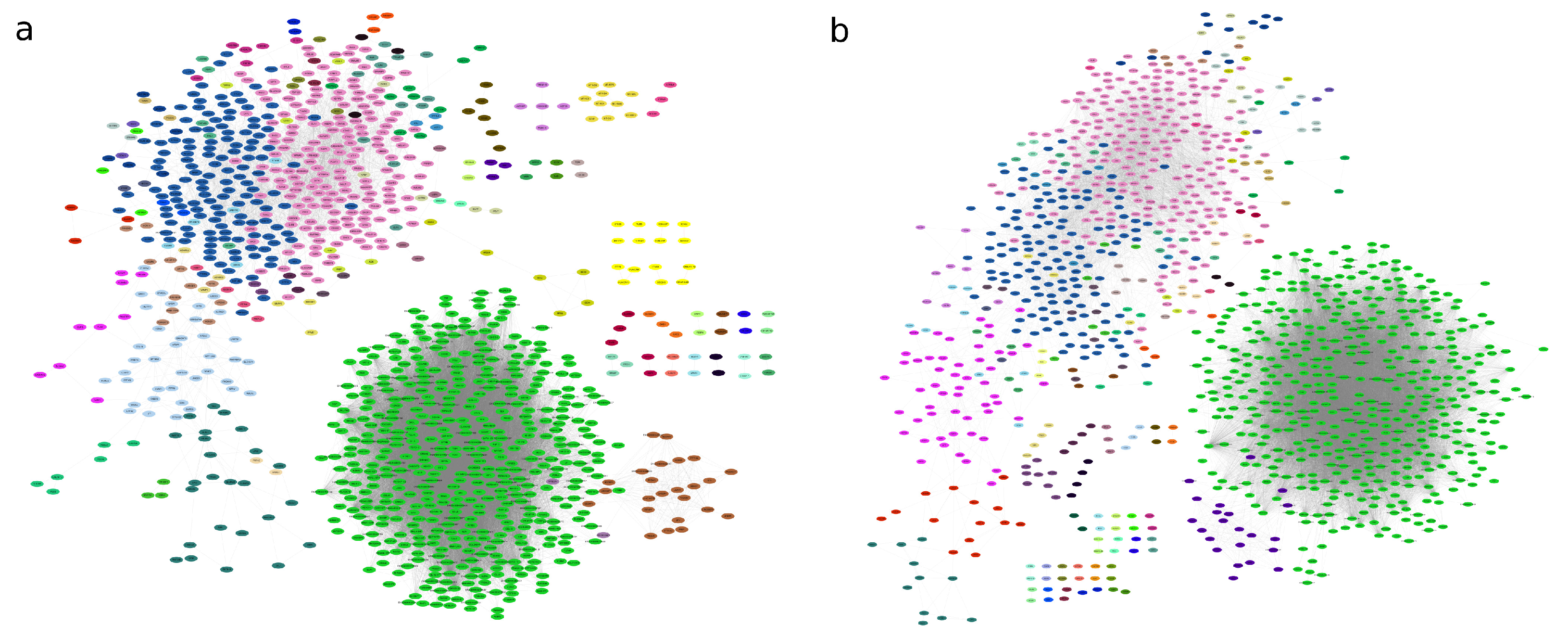 Ijms 26 02361 g003 Ijms 26 02361 g003