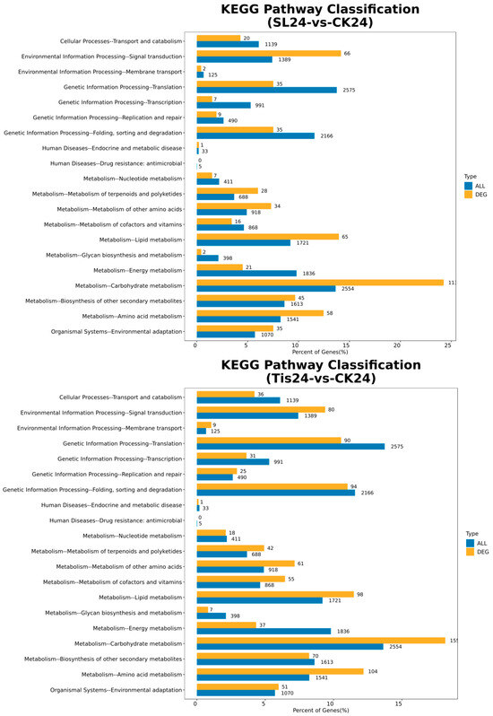 rico専用 Ninja Swirl: La Máquina de Helado del Futuro | TikTok
