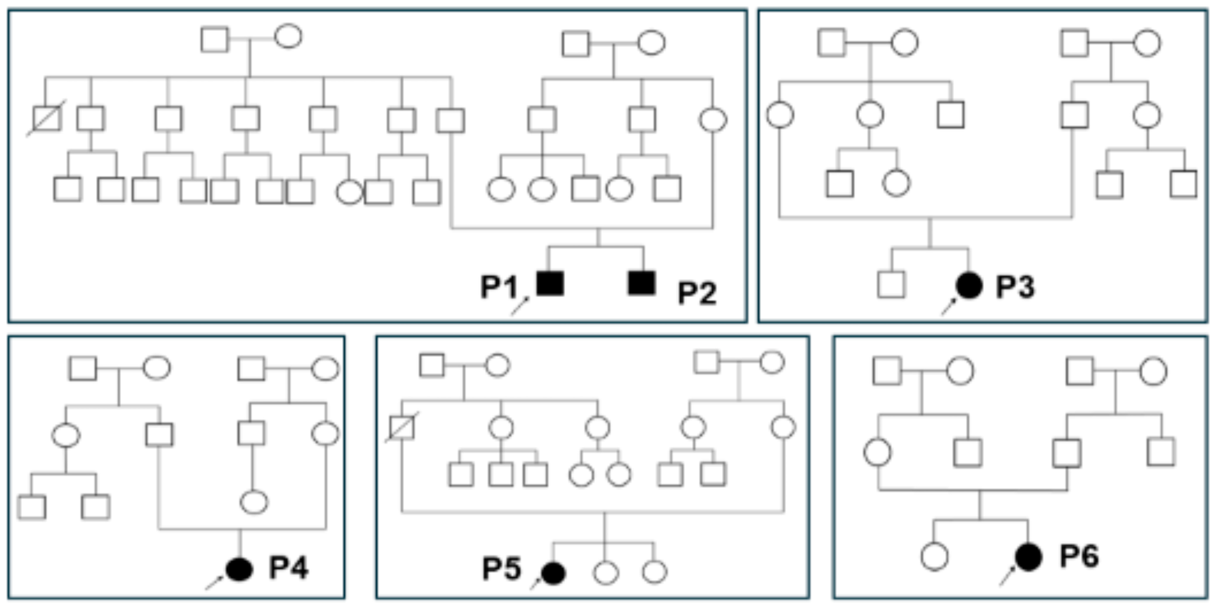 Ijms 26 02406 g001 Ijms 26 02406 g001