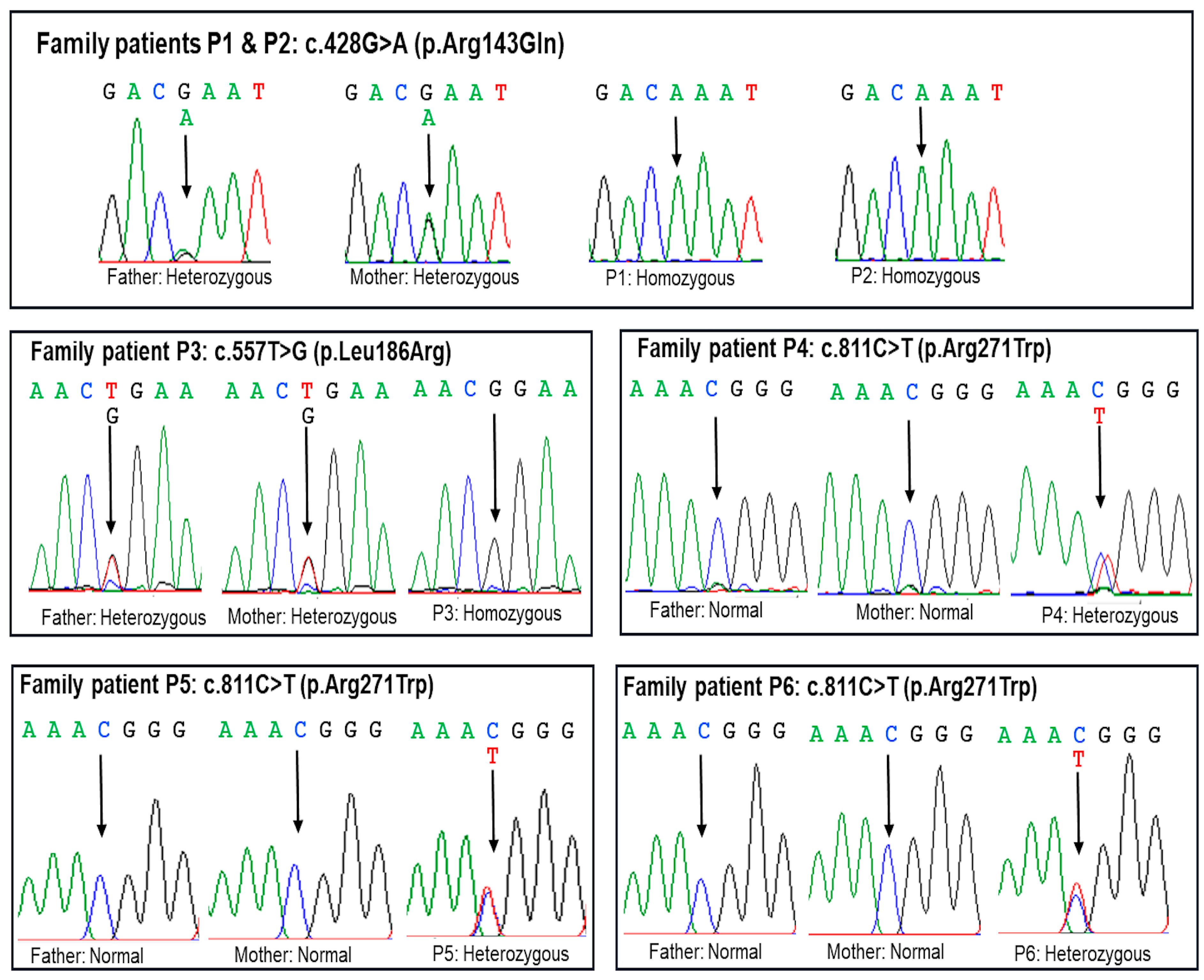 Ijms 26 02406 g003 Ijms 26 02406 g003