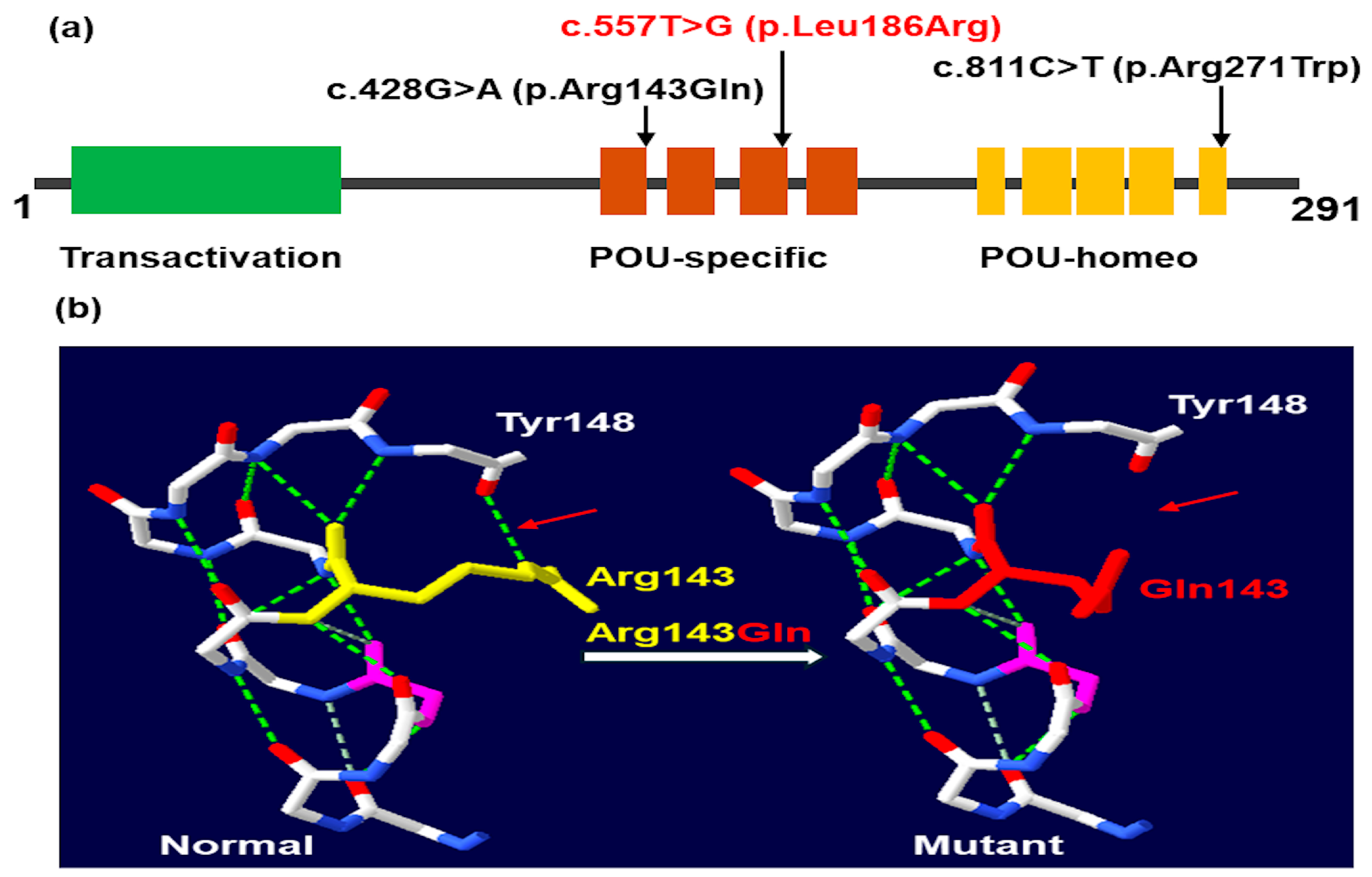 Ijms 26 02406 g005 Ijms 26 02406 g005