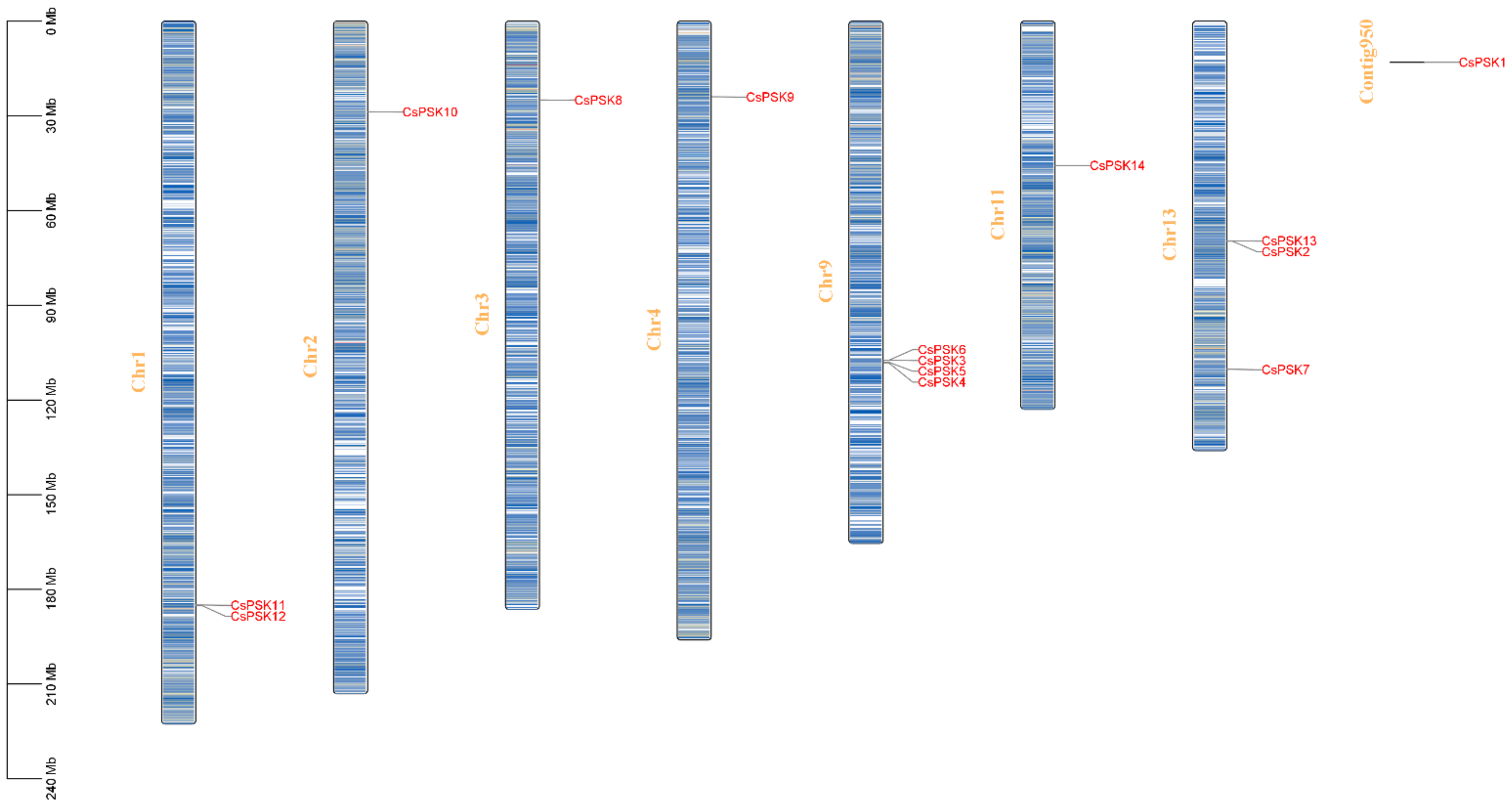 Ijms 26 02418 g001 Ijms 26 02418 g001