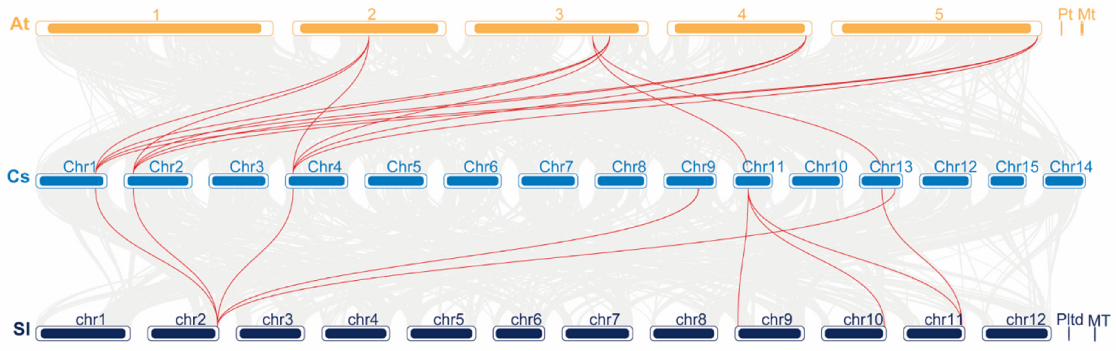 Ijms 26 02418 g004 Ijms 26 02418 g004