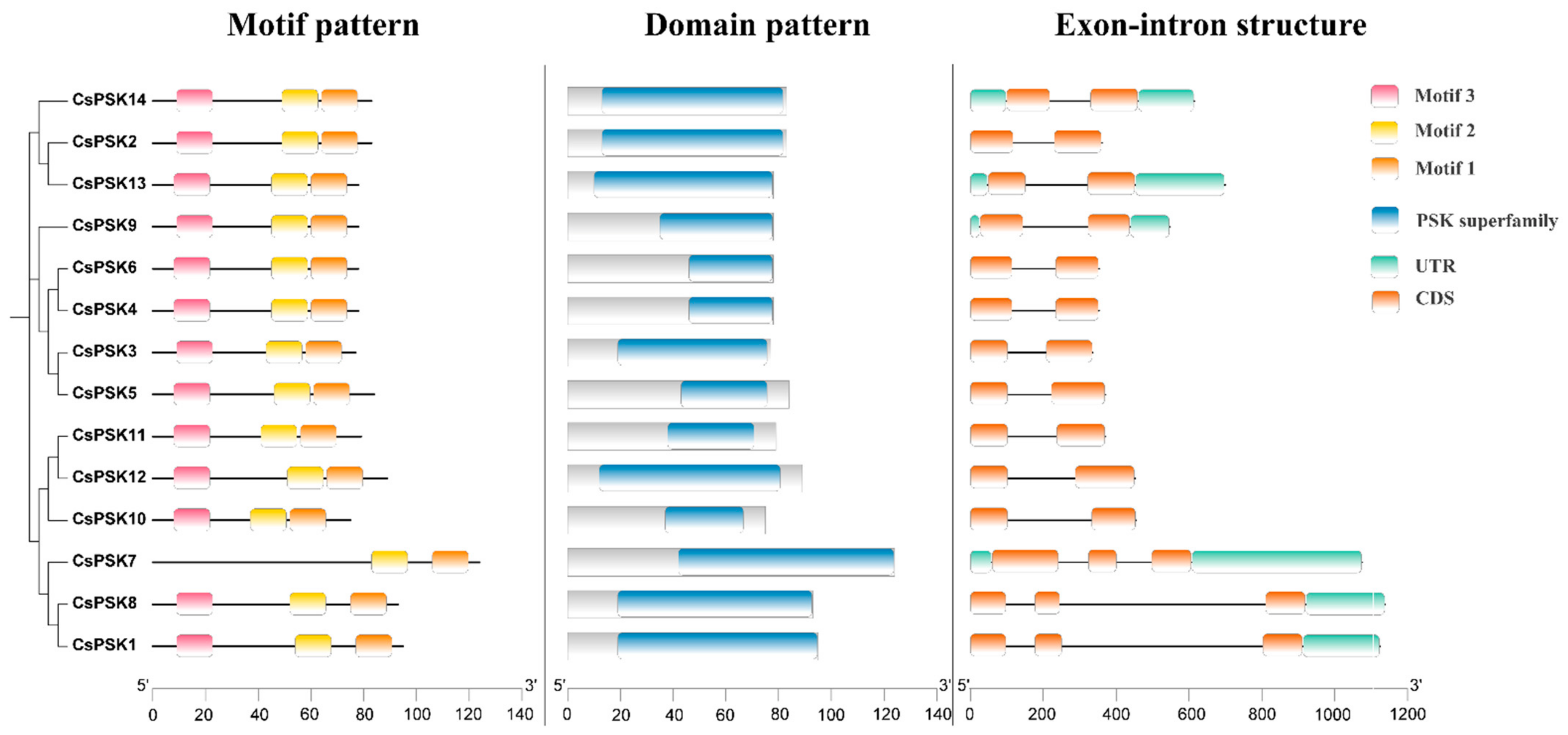 Ijms 26 02418 g005 Ijms 26 02418 g005