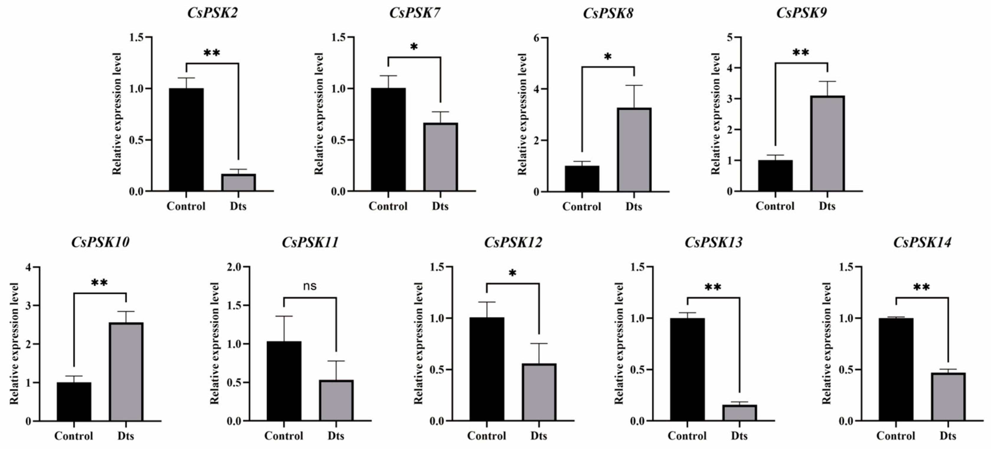 Ijms 26 02418 g009 Ijms 26 02418 g009
