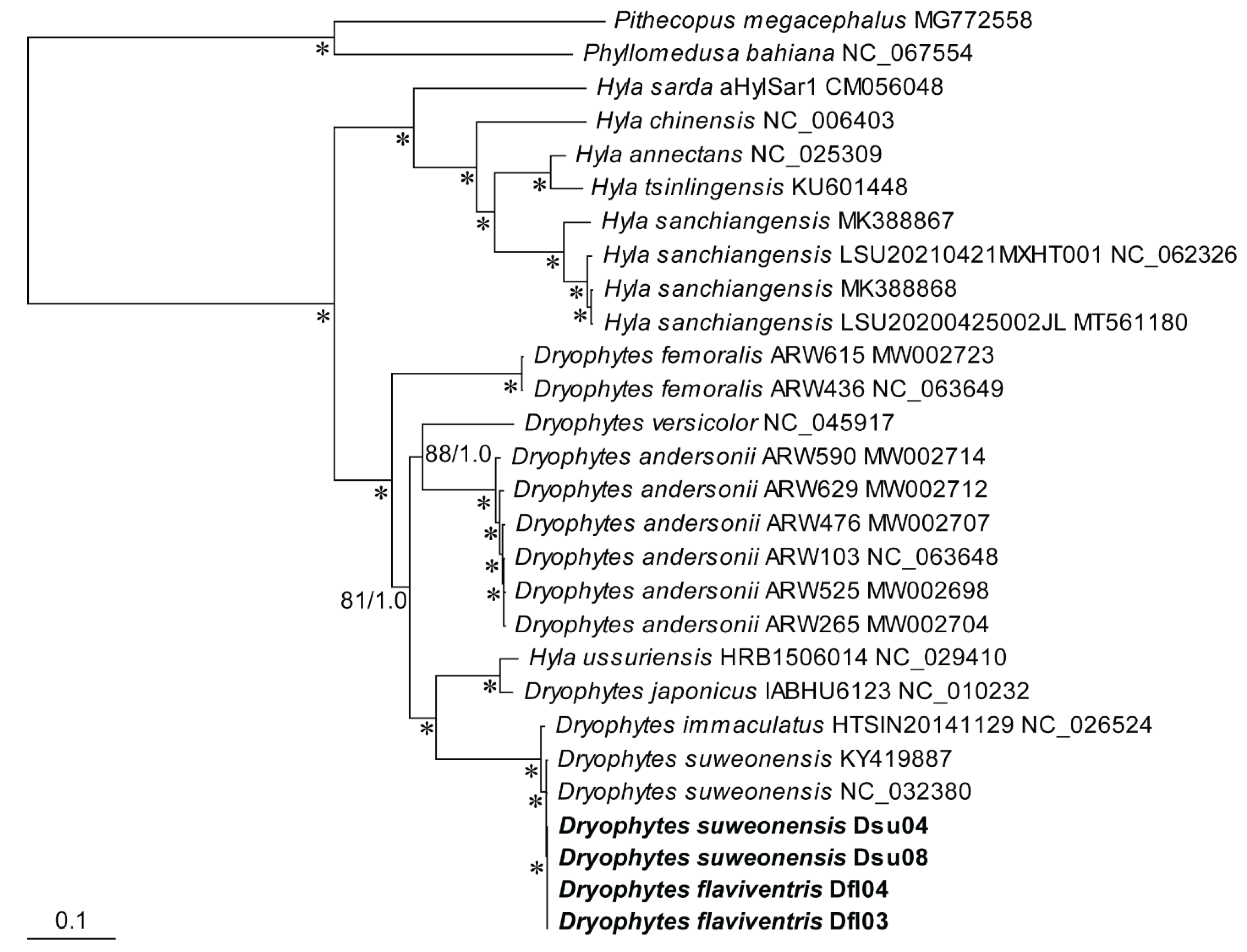 Ijms 26 02423 g006 Ijms 26 02423 g006