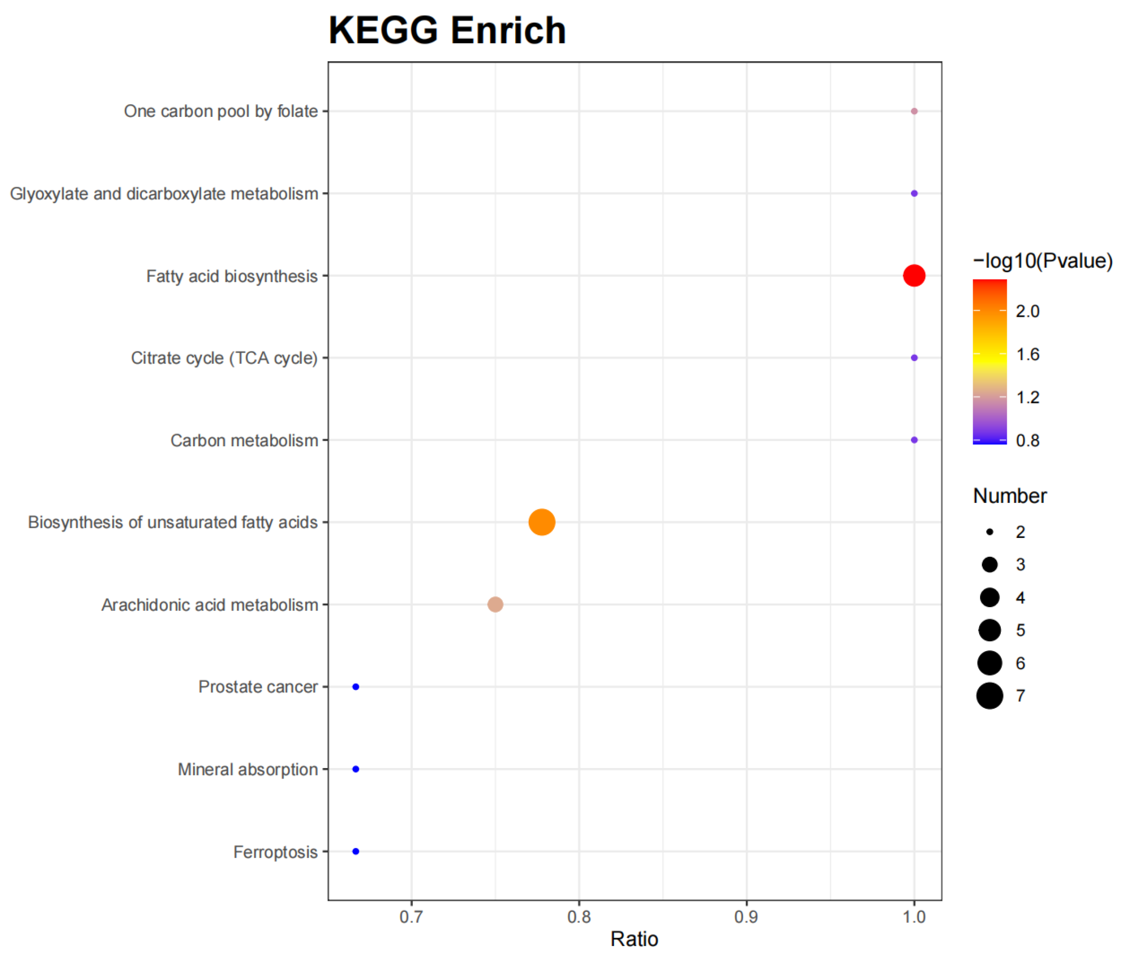 Ijms 26 02426 g007 Ijms 26 02426 g007