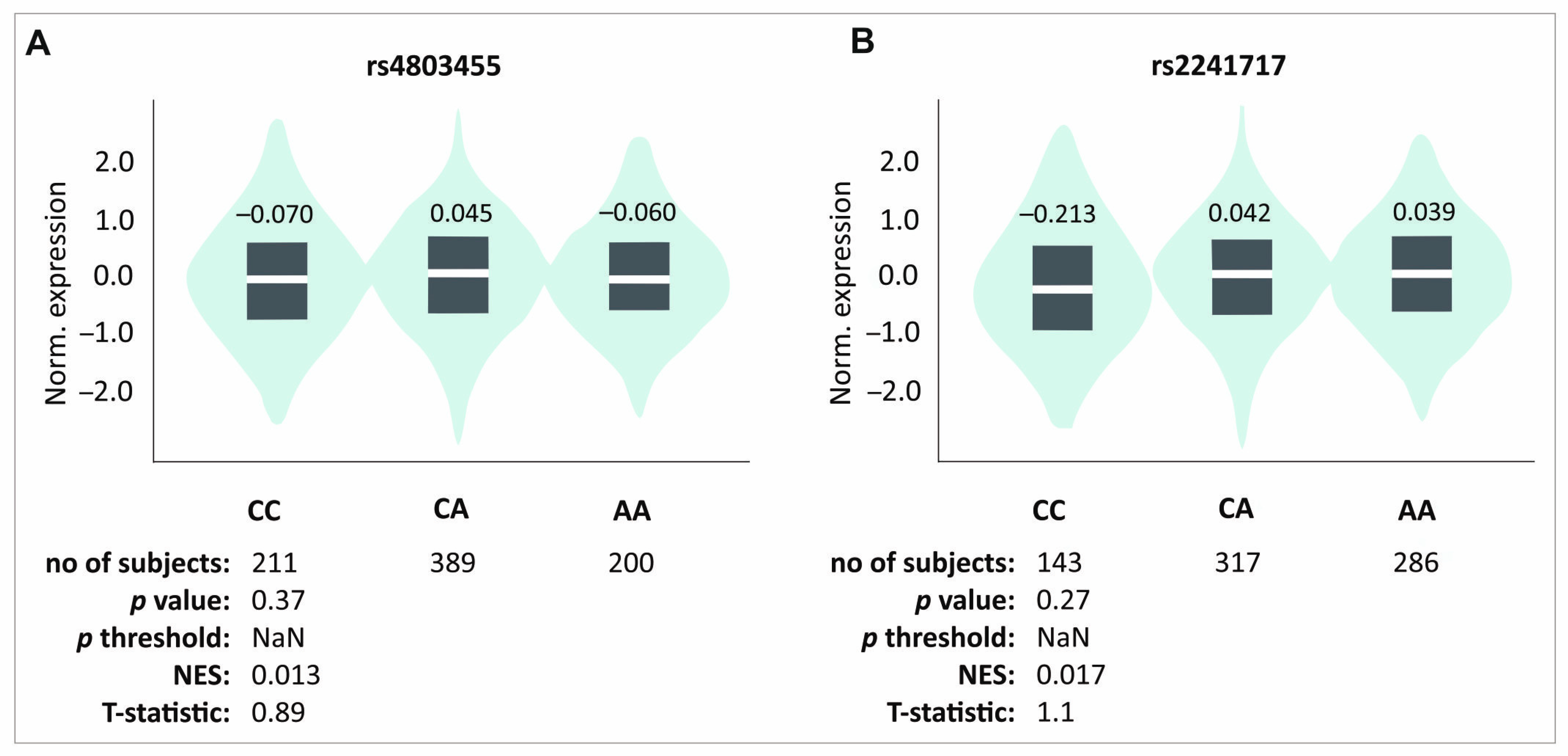 Ijms 26 02431 g004 Ijms 26 02431 g004