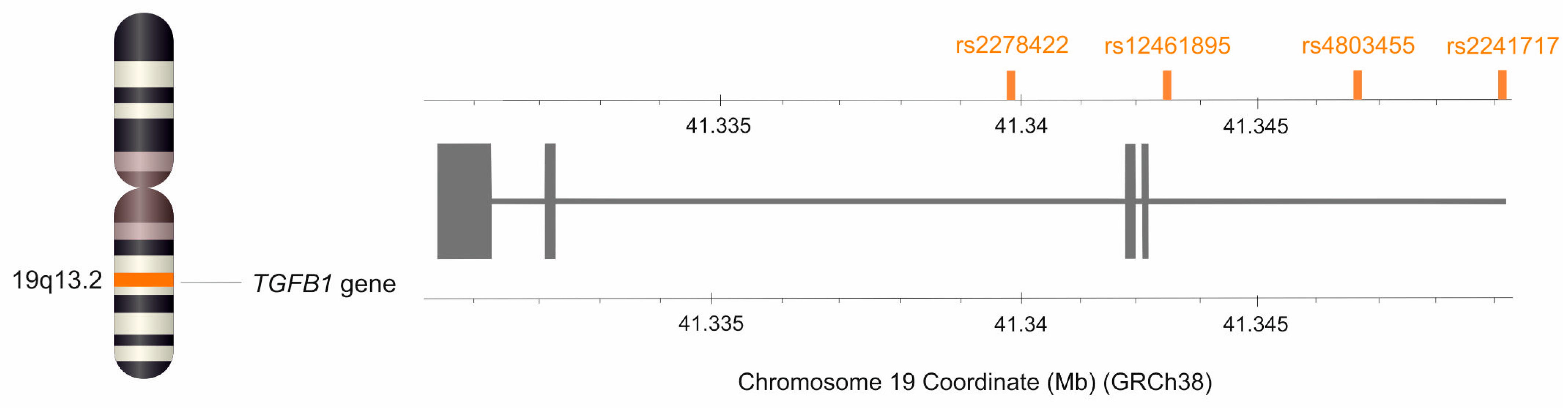 Ijms 26 02431 g007 Ijms 26 02431 g007