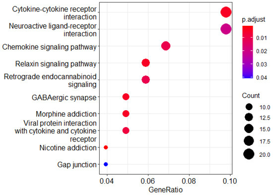 Cancer Drug Sensitivity Prediction Based on Deep Transfer Learning