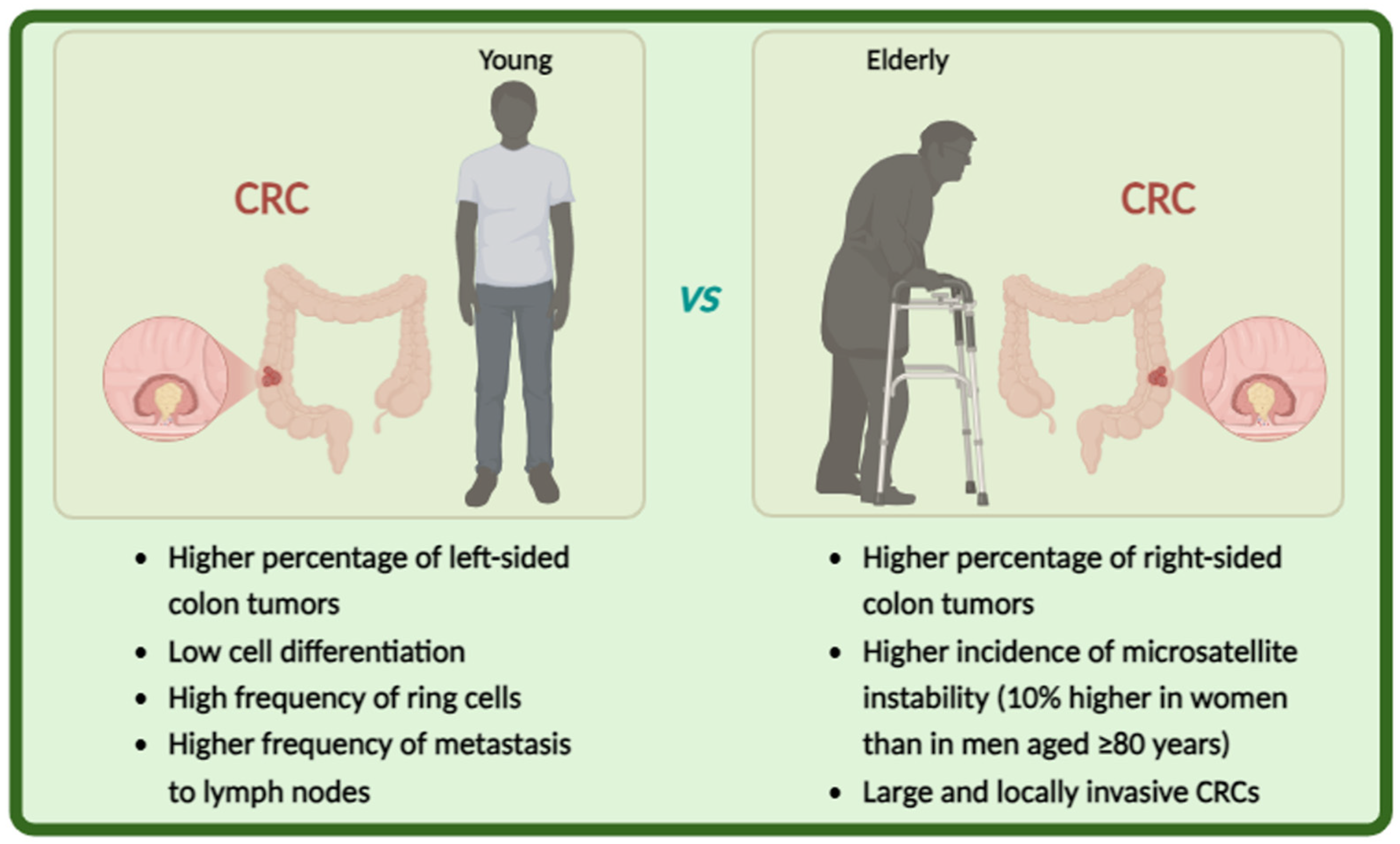 Ijms 26 02497 g002 Ijms 26 02497 g002