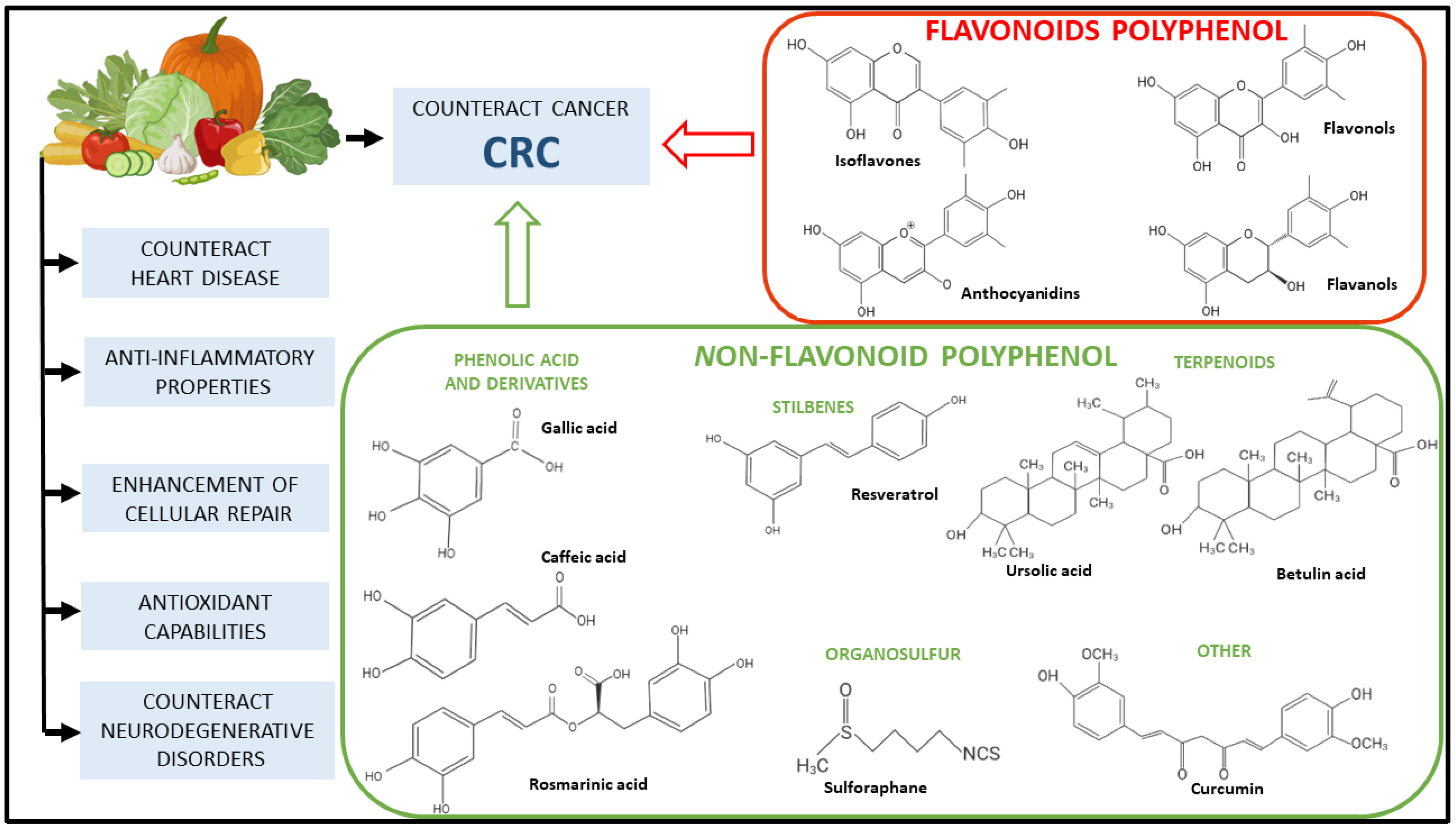 Ijms 26 02497 g003 Ijms 26 02497 g003