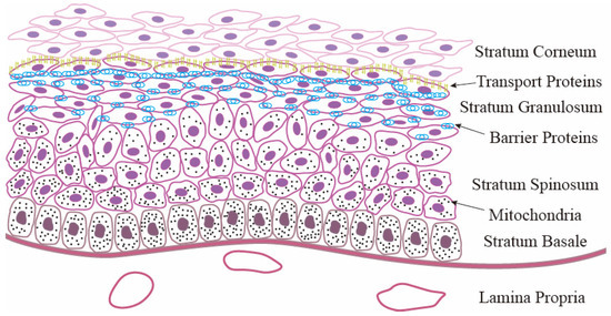 その他 Fu Behringer Xenyx 1002SFX 10-Channel Analog Streaming Mixer – Alto Music