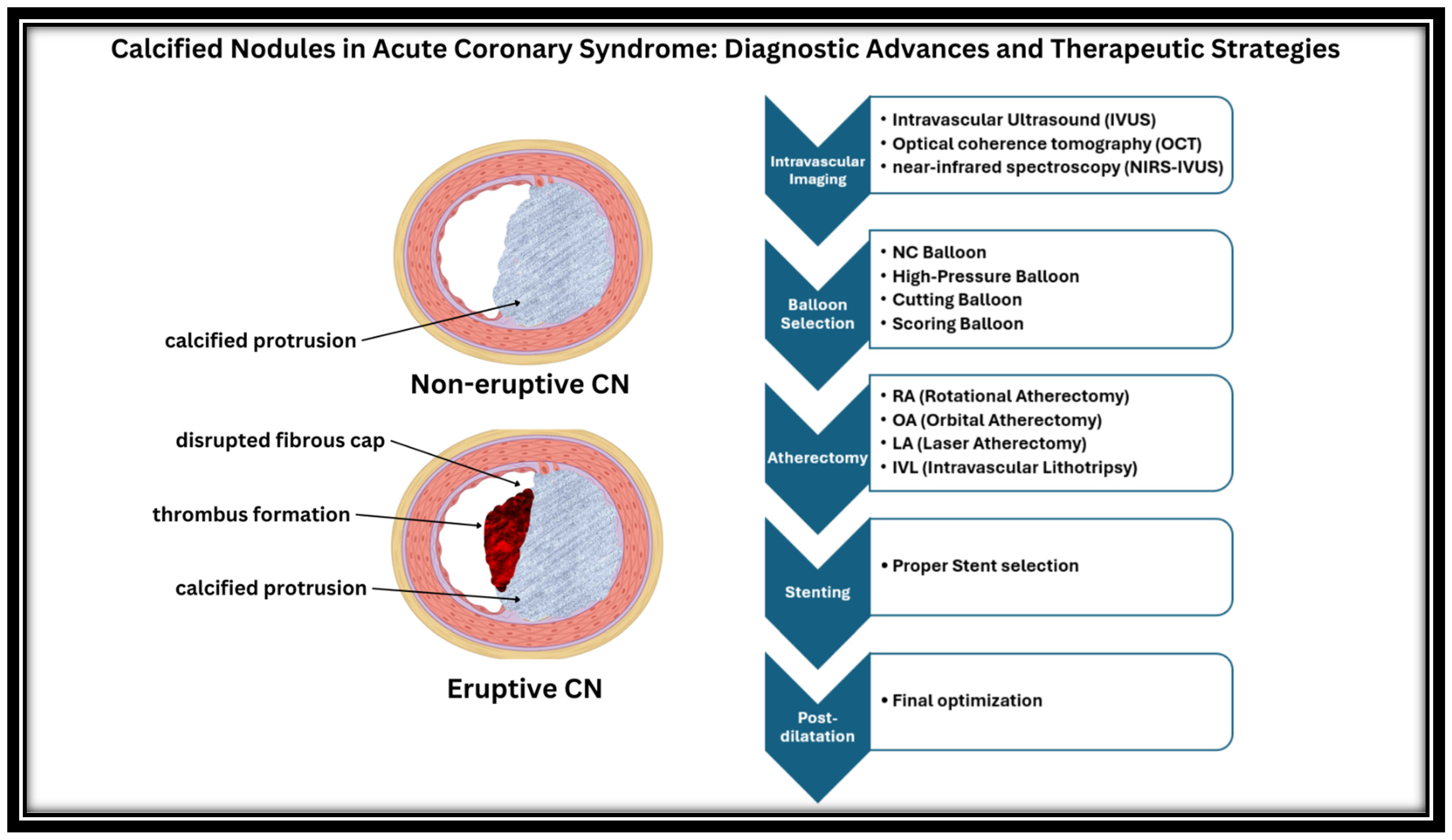 Ijms 26 02581 g001 Ijms 26 02581 g001