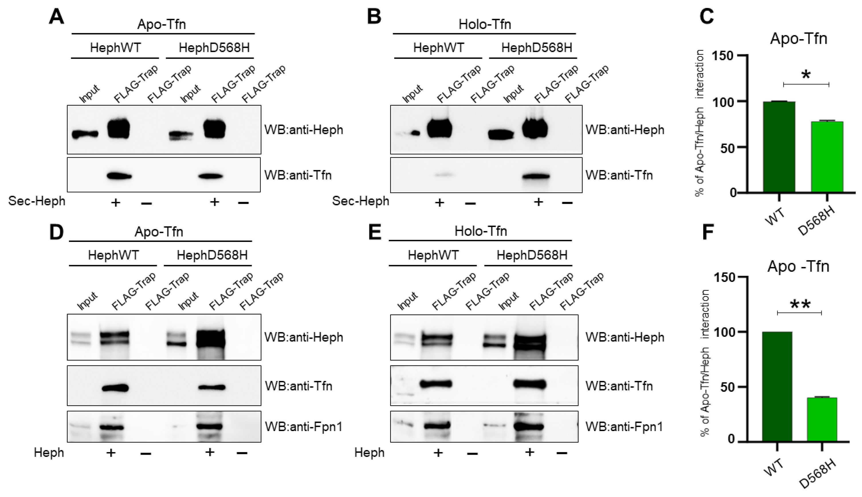 Ijms 26 02607 g006 Ijms 26 02607 g006