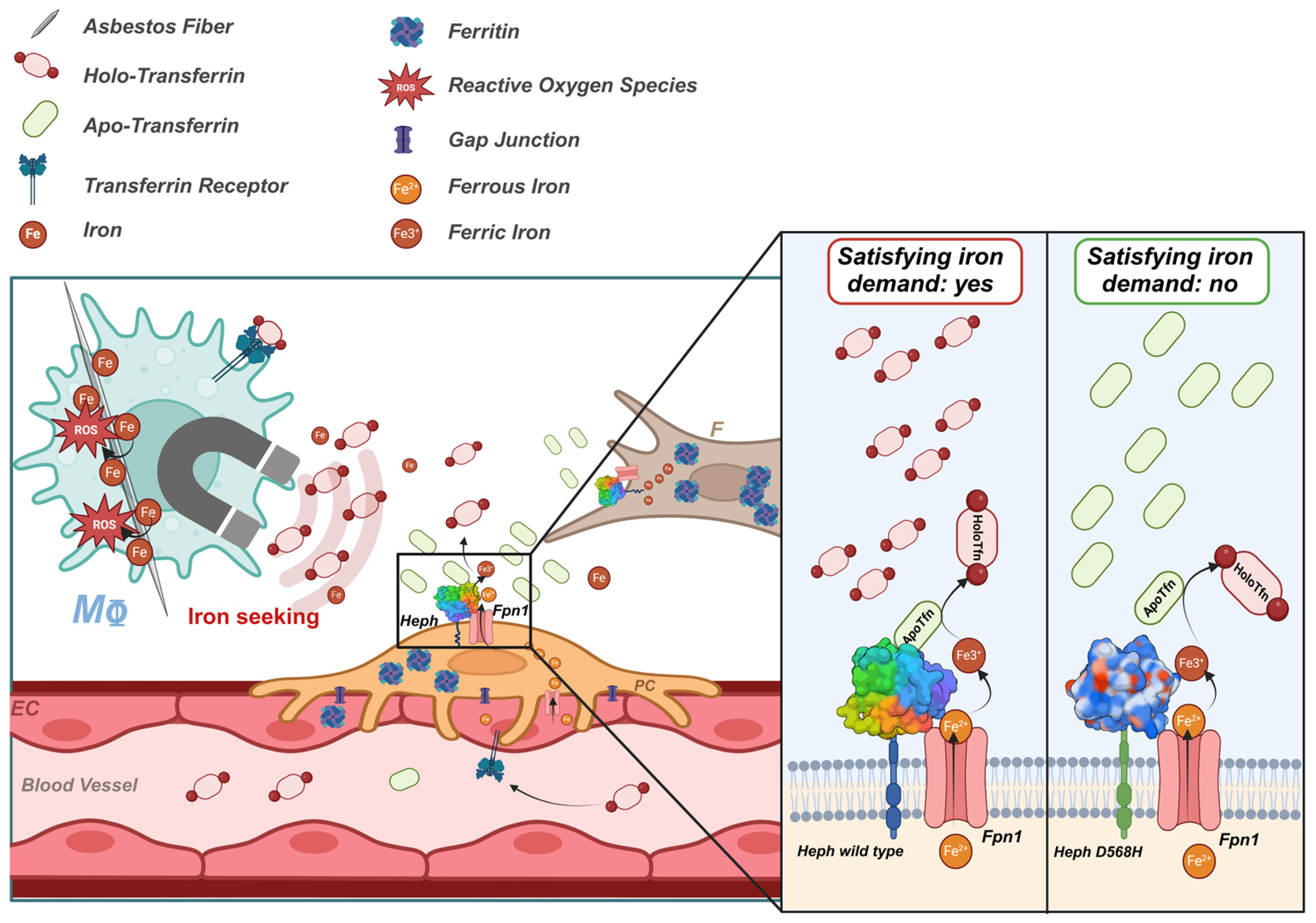 Ijms 26 02607 g008 Ijms 26 02607 g008