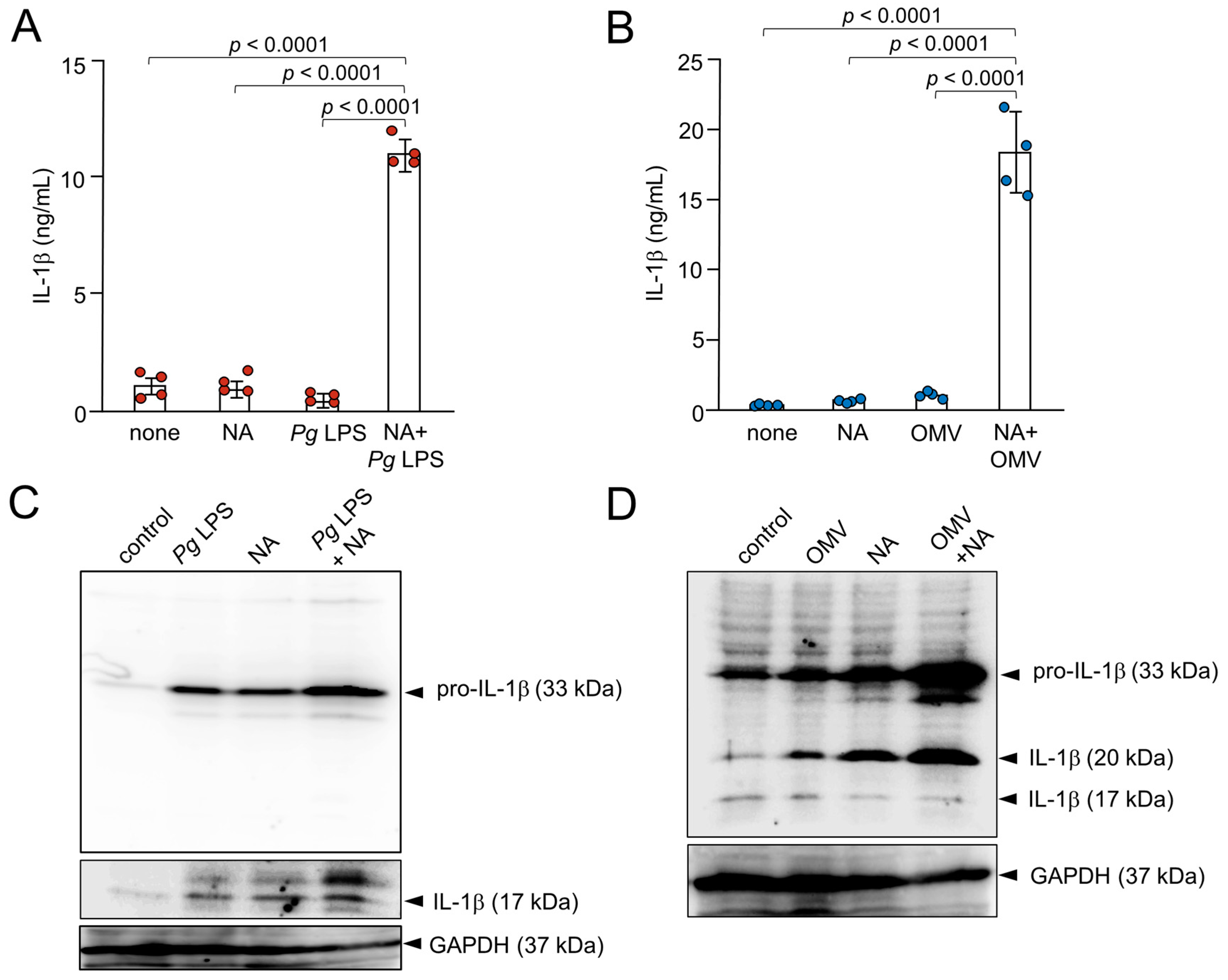 Ijms 26 02660 g003 Ijms 26 02660 g003