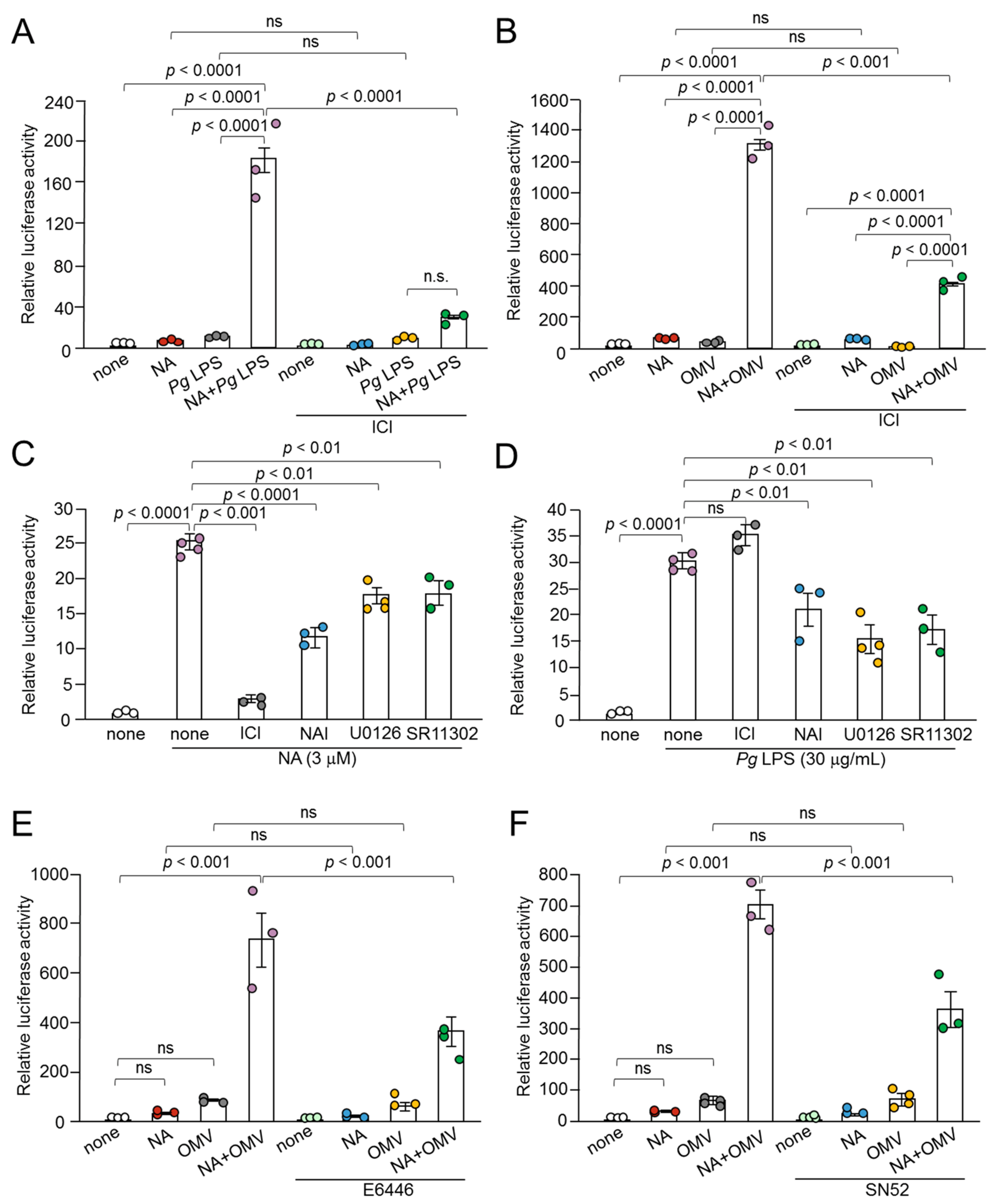 Ijms 26 02660 g006 Ijms 26 02660 g006