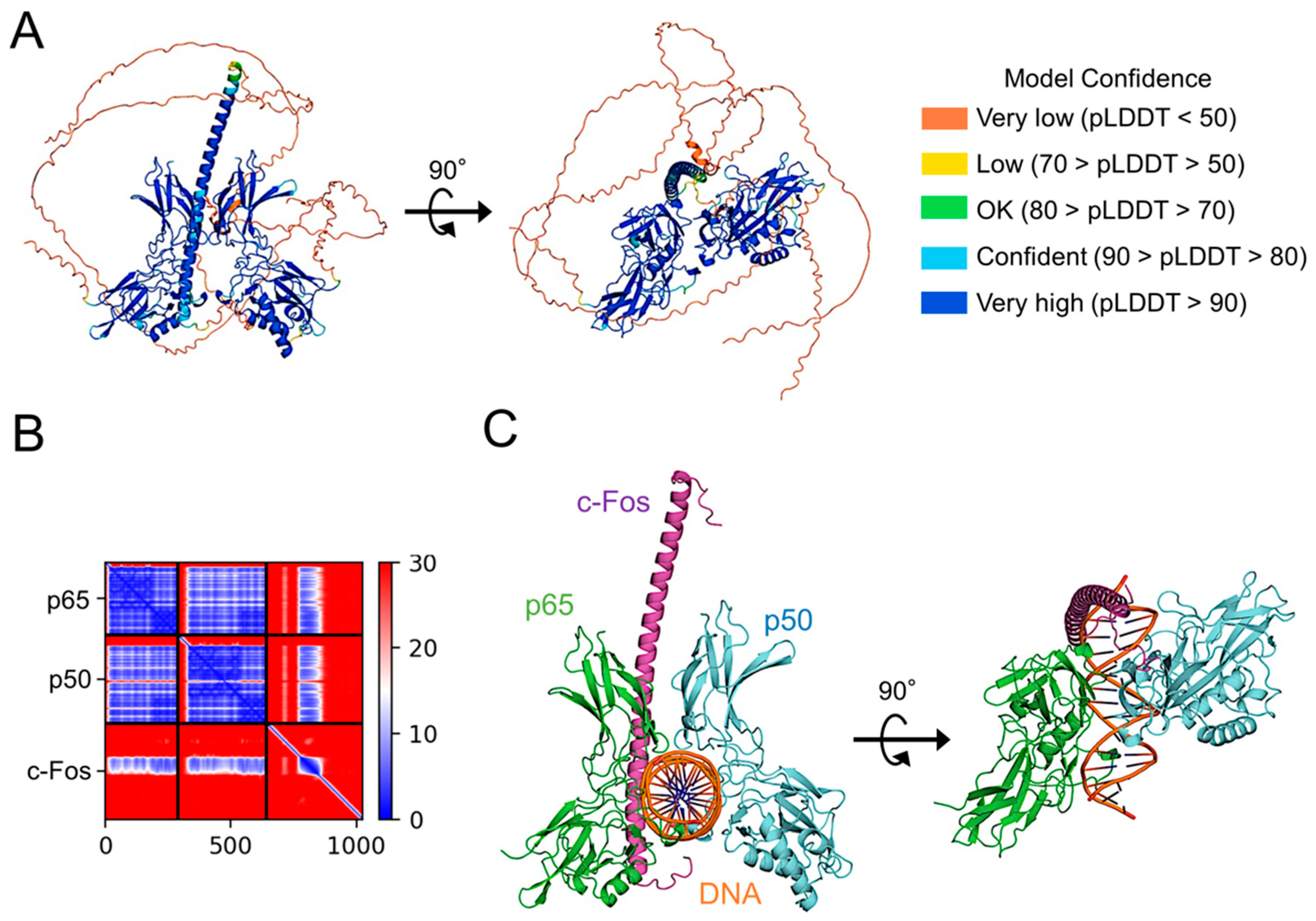 Ijms 26 02660 g008 Ijms 26 02660 g008