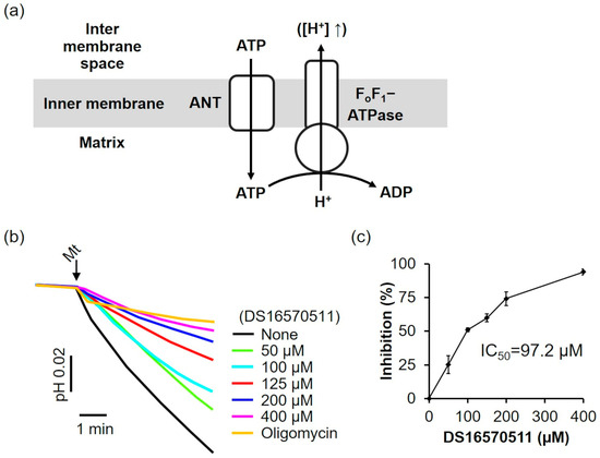 Multiple Inhibitory Mechanisms of DS16570511 Targeting